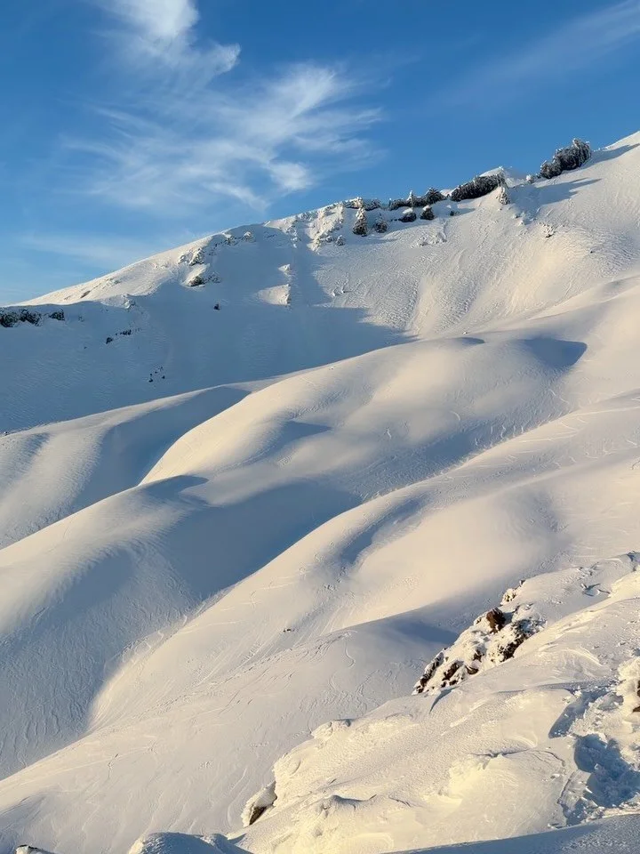 Winter 2026 has taken a hiatus on Mt Shasta lately. Although we&rsquo;re hoping for more snow soon, the mountain is beautiful and we&rsquo;re enjoying the Juneuary conditions. Sunny days, spring skiing, and low avalanche hazard have made for great to