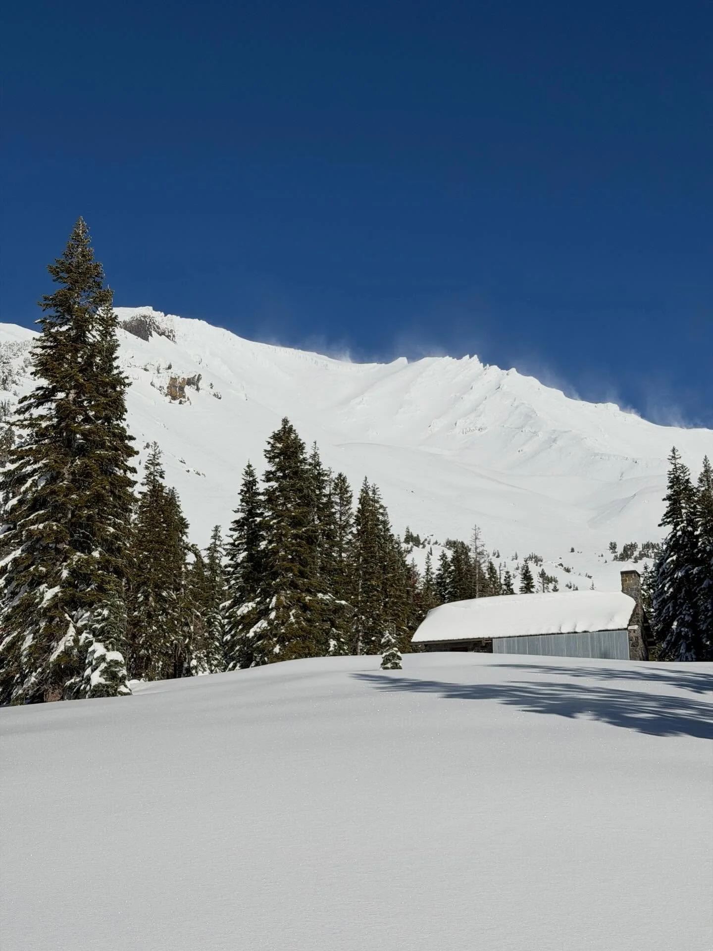 Mt. Shasta is firing! The storms cleared to reveal a plastered volcano. The weather station at 7,600&rsquo; is measuring almost 5&rsquo; of snow on the ground and skiing has been fantastic! With 4 days of high pressure we have another storm arriving 