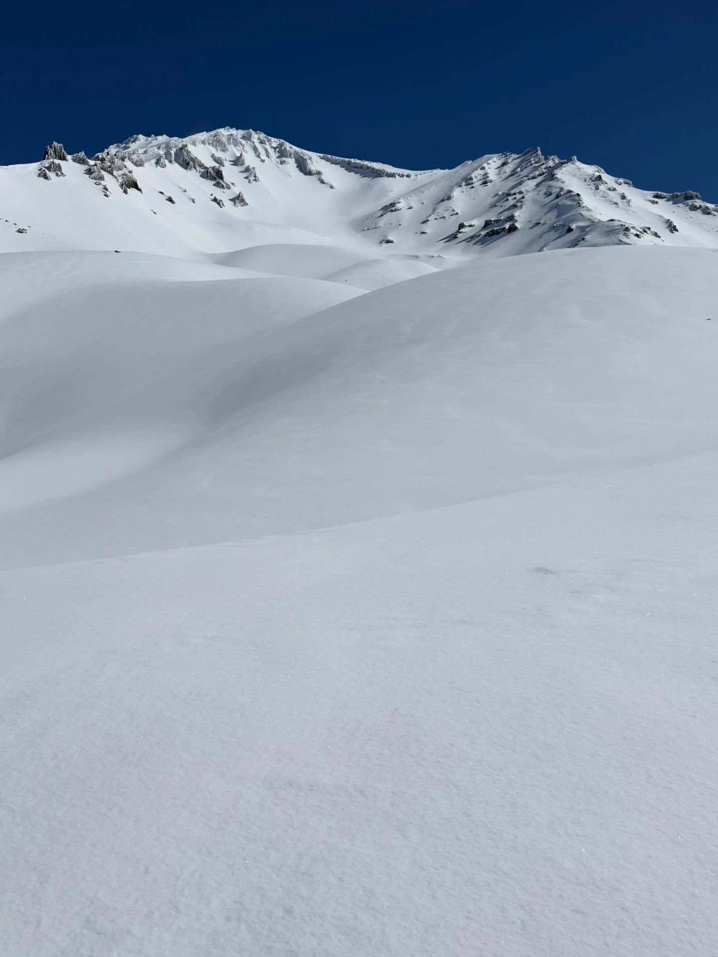 Some days are extra special on Mt. Shasta. Today was one of them. 
We&rsquo;re so excited for the upcoming season, especially with all this new snow recently! We can&rsquo;t wait to share this with you!
#friendsonapowderday