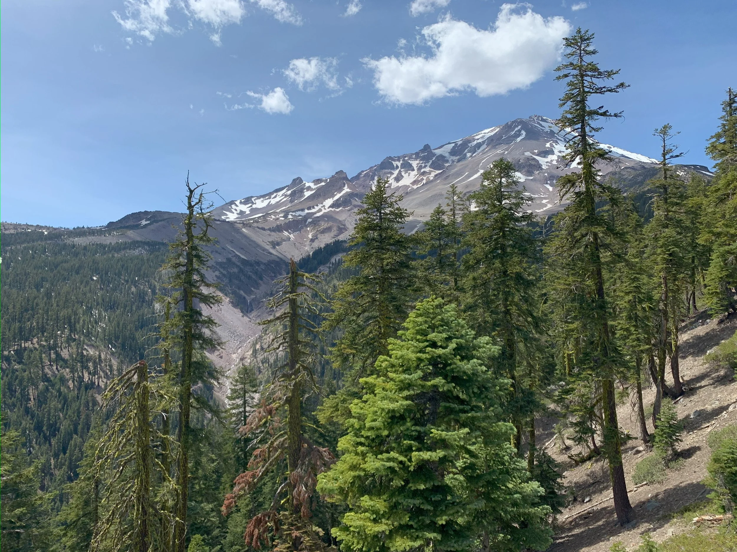Guided climbs on Mount Shasta — Shasta Mountain Guides