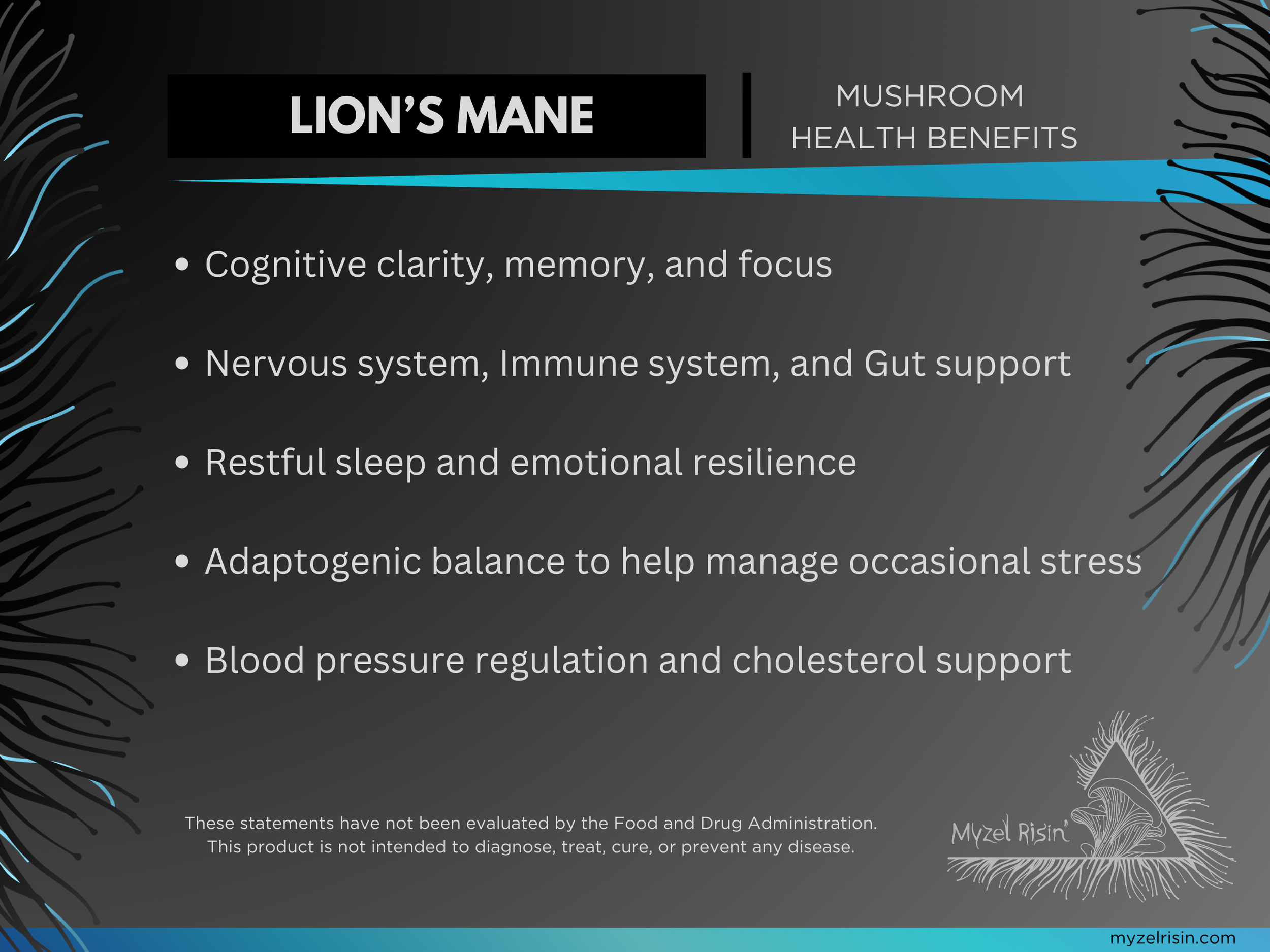 View Myzel Risin' Functional Lion's Mane mushroom target benefits