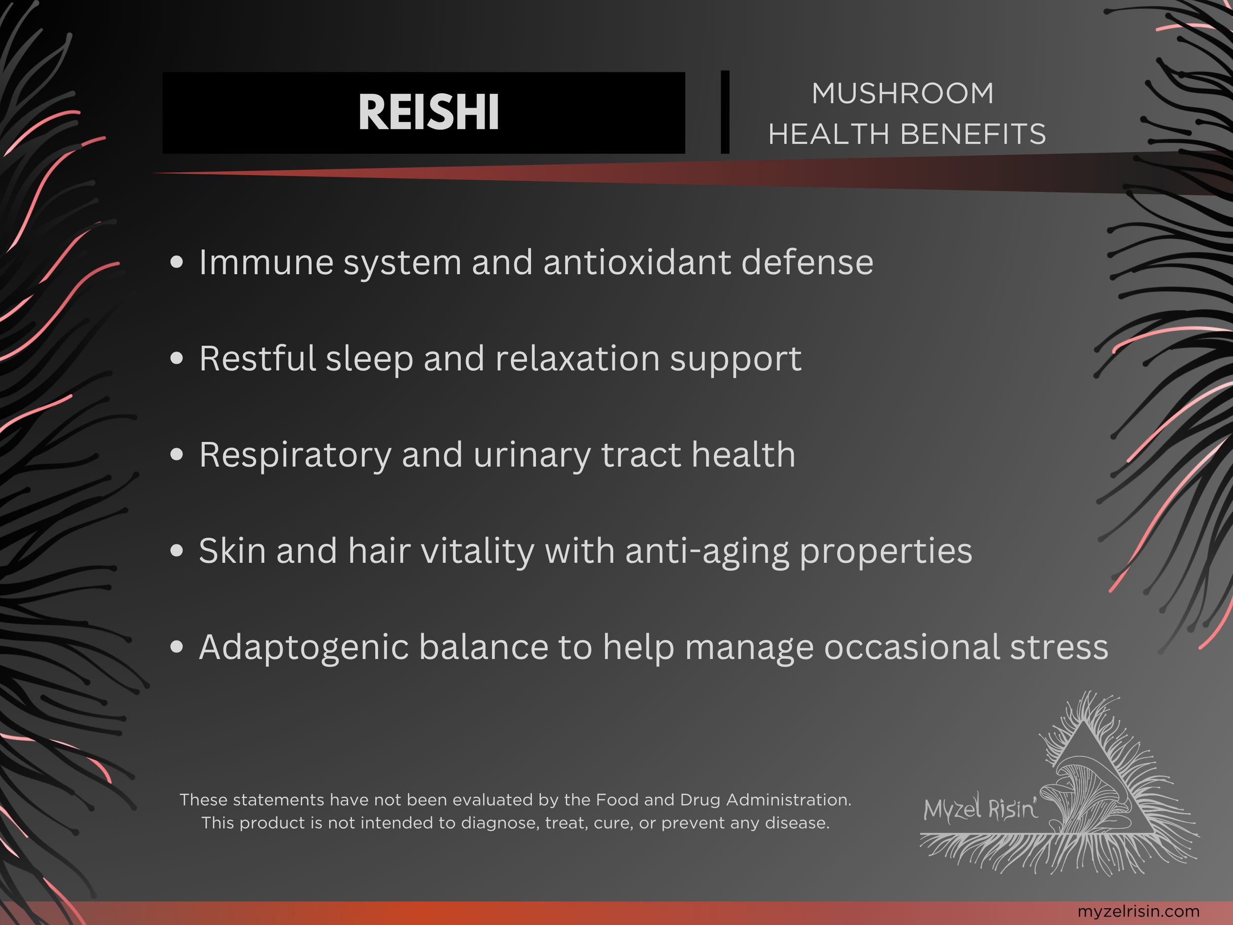 View Myzel Risin' Functional Reishi mushroom target benefits
