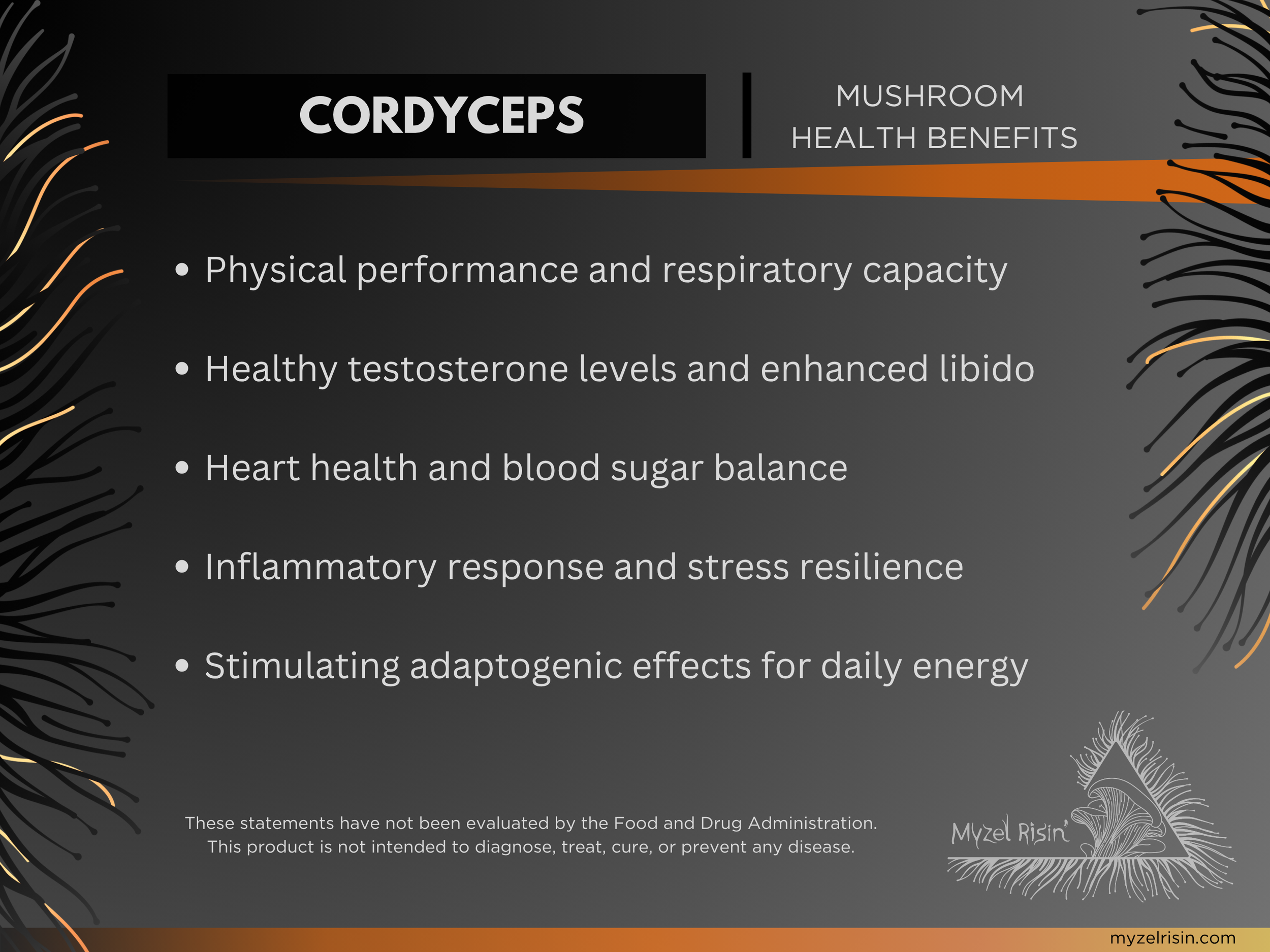 View Myzel Risin' Functional Cordyceps mushroom target benefits