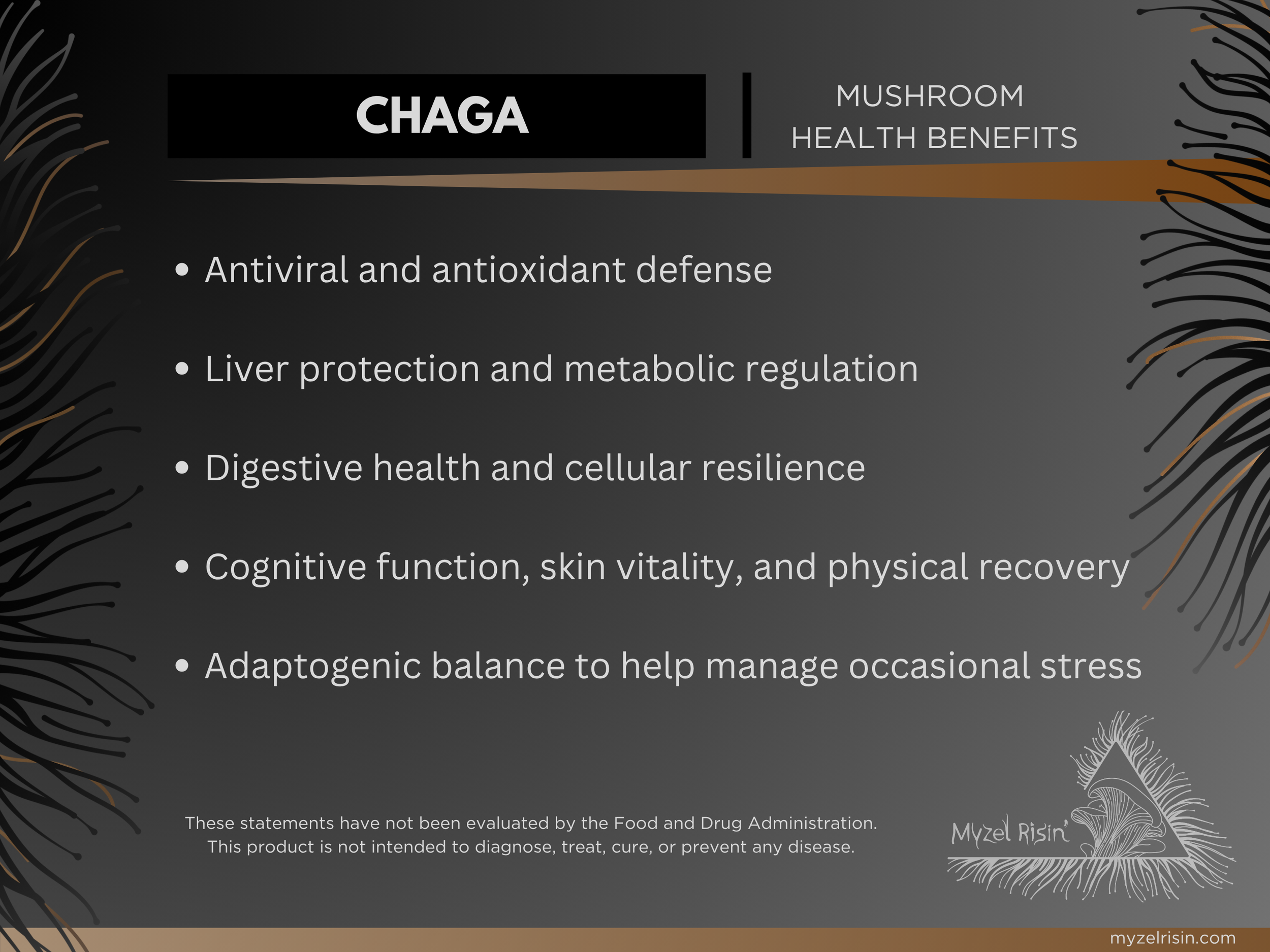 View Myzel Risin' Functional Chaga mushroom target benefits