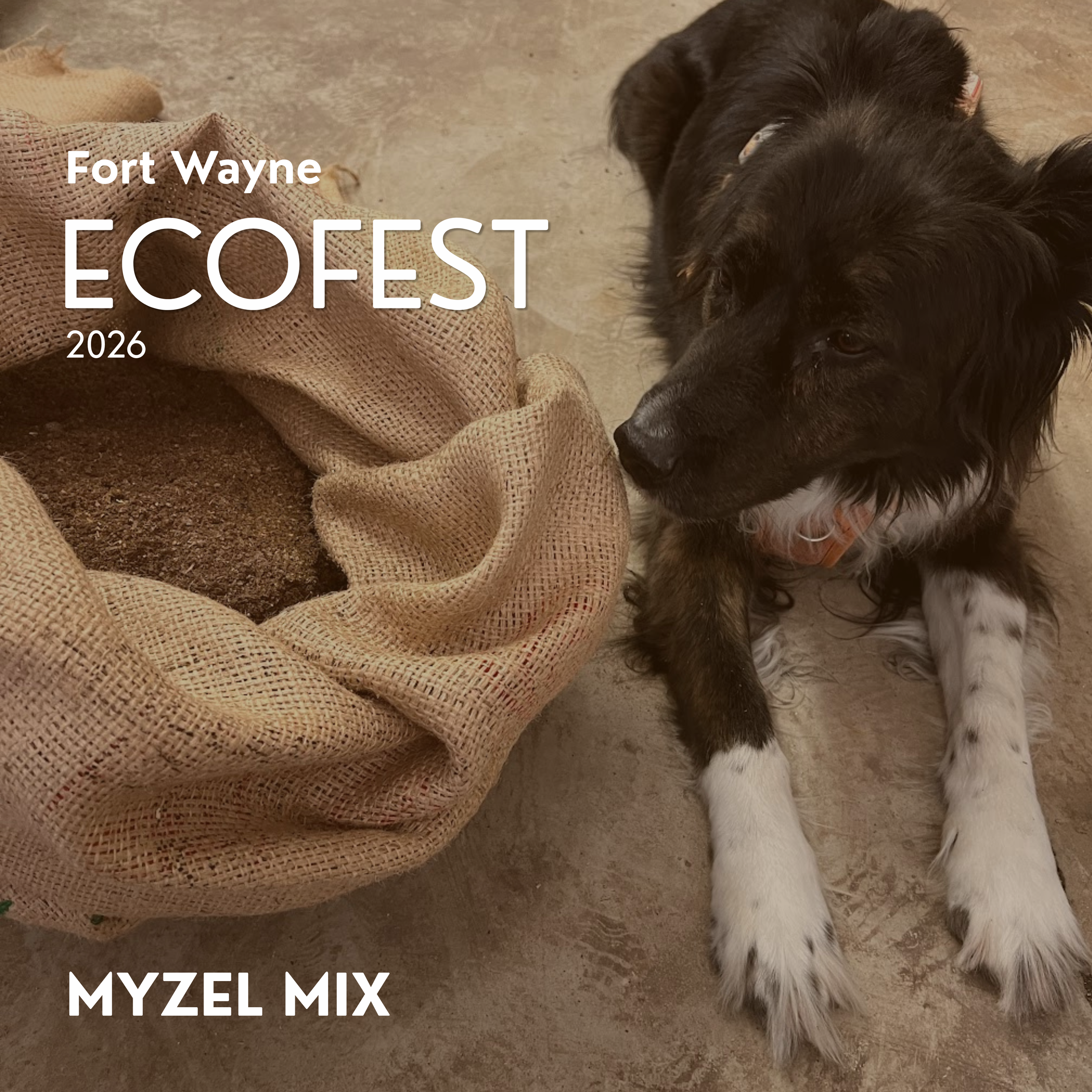 Myzel Risin' featuring Myzel Mix at Eco Fest 2026 in Fort Wayne, IN