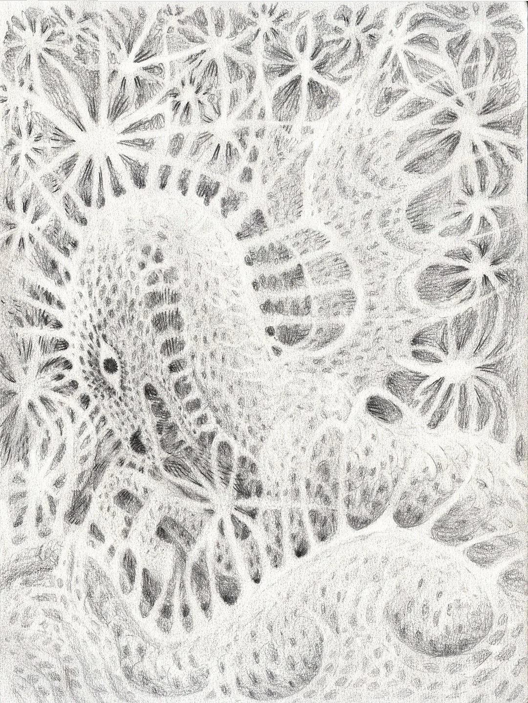 stirsthesea.jpg