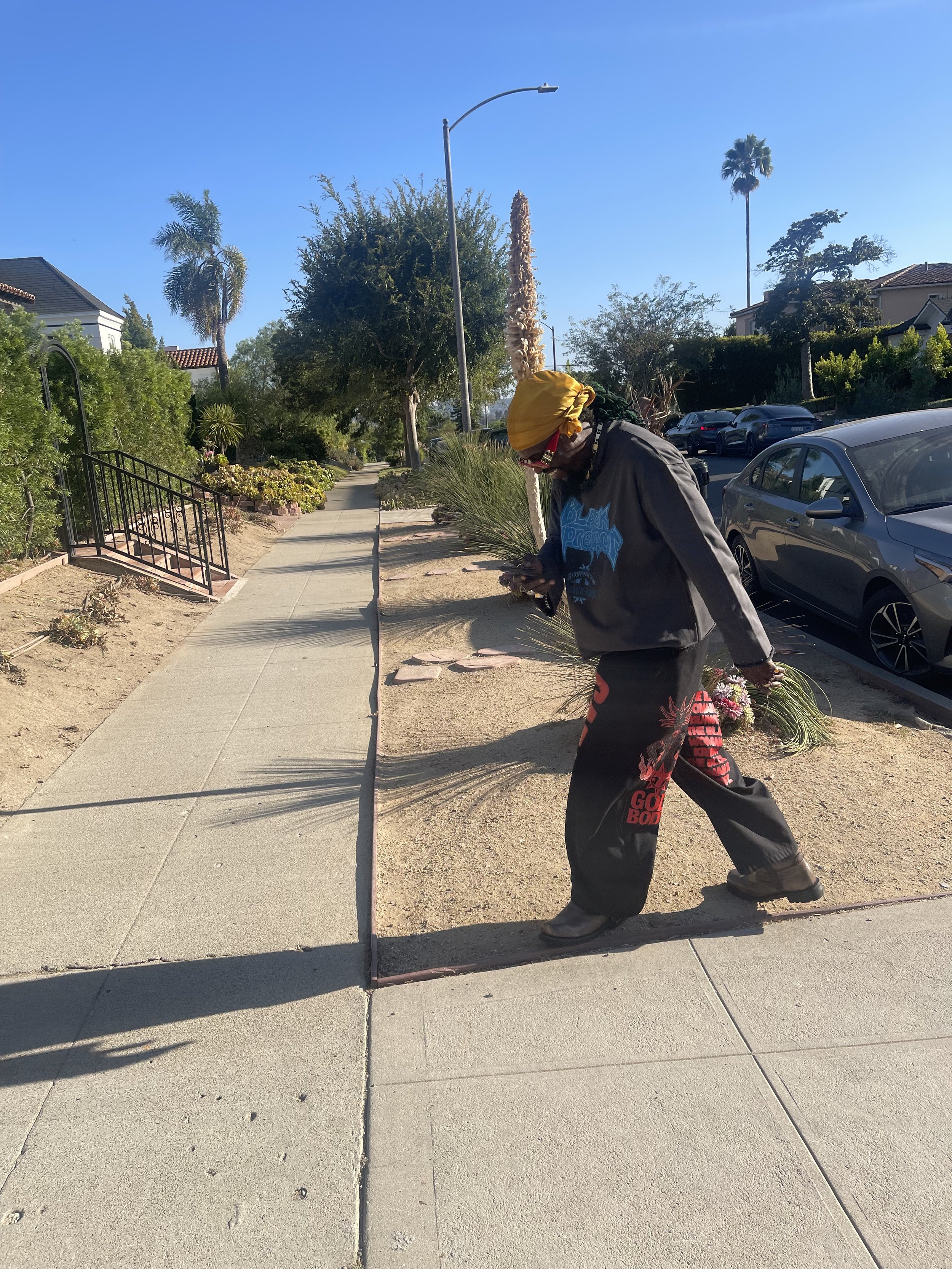 IMG_2721.jpeg