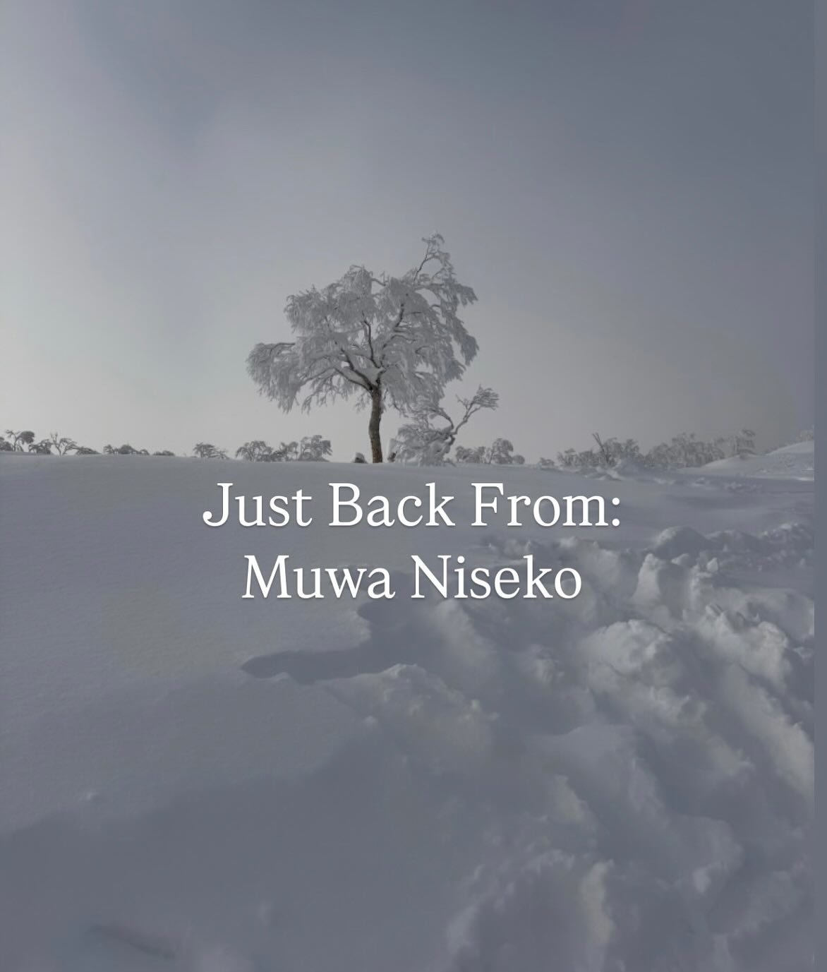 &ldquo;Niseko is a ski town where you go purely for the skiing experience. It is Alta, not Aspen.&rdquo;  I chatted with a recent guest of the @muwaniseko, where she spent five days skiing with her family.  Highlights: - The phenomenal powder skiing&