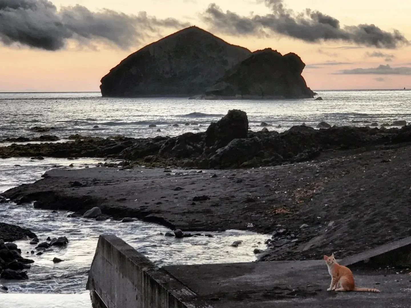 GSRA Photo 2 - Moniz.jpeg