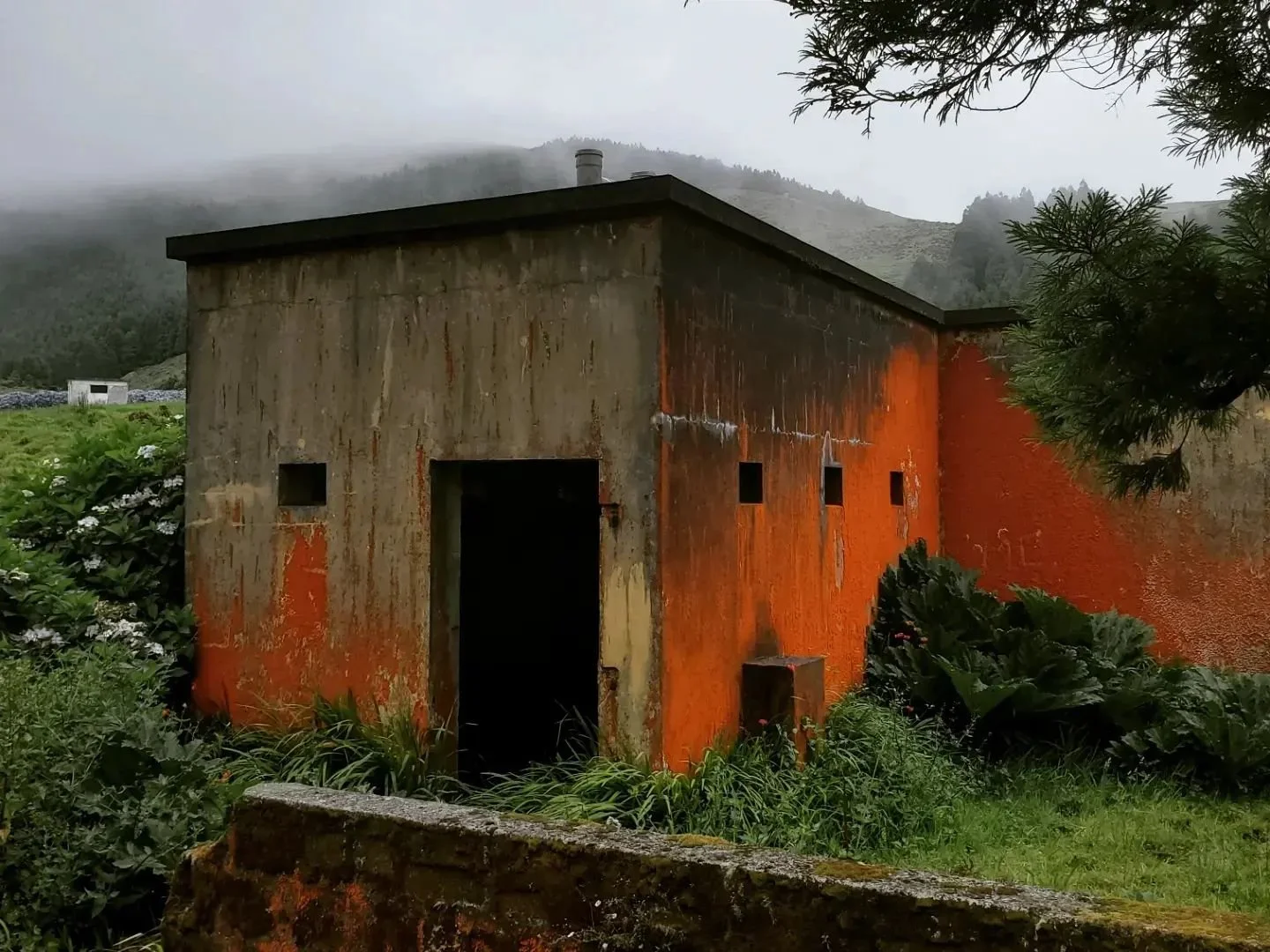 GSRA Photo 4 - Moniz.jpeg