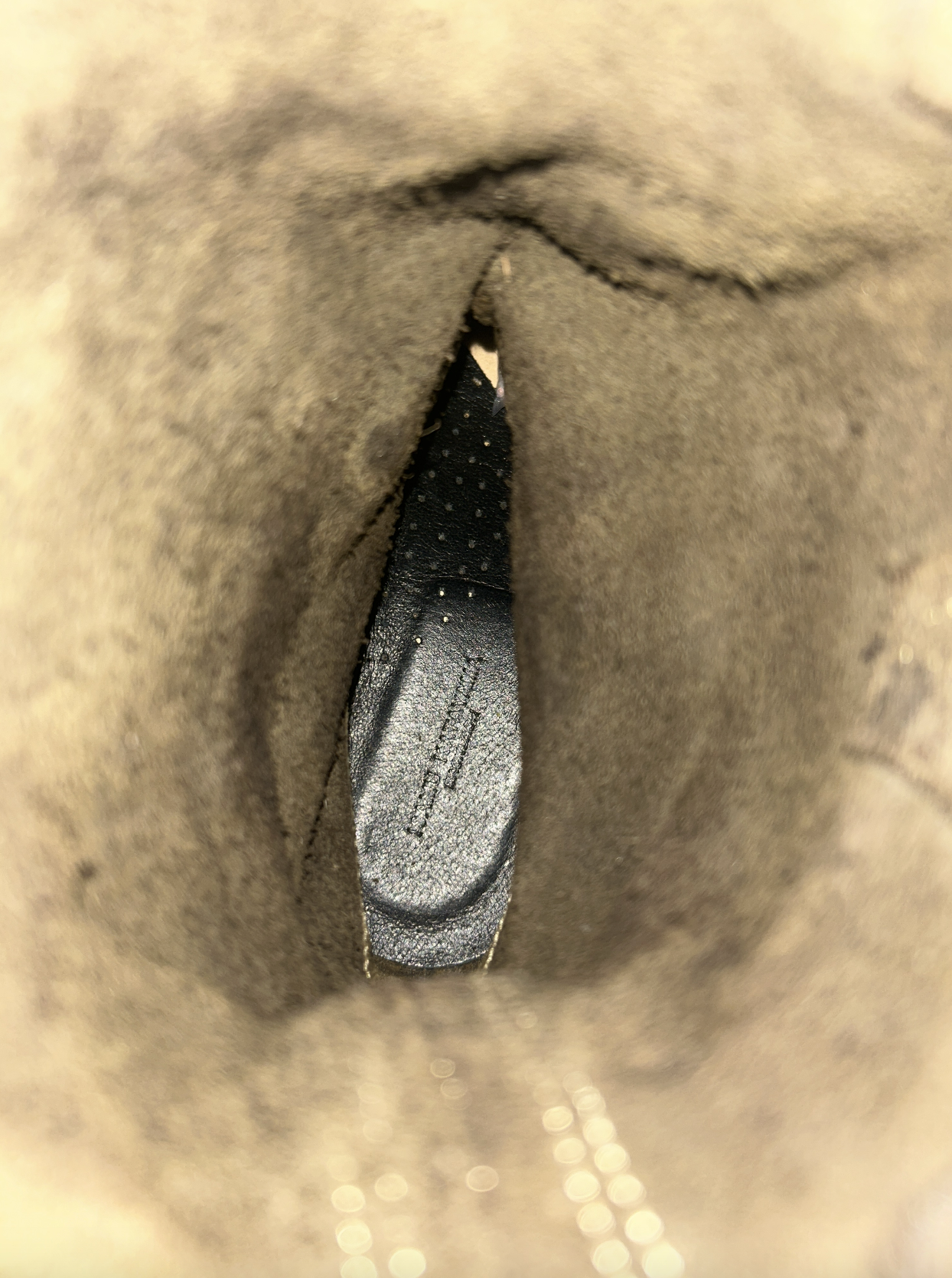 E713F91B-BD96-4DFD-AE42-F5FA8FBCB62F.png