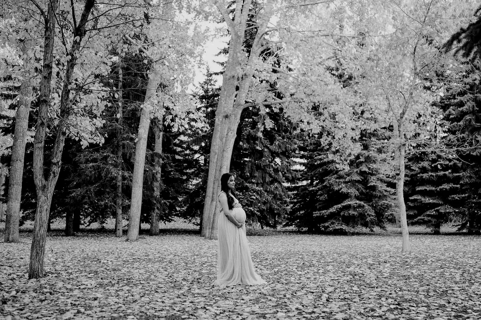 Maternity portrait photo of mother standing in a field at Lindsay Park in Calgary in the fall time