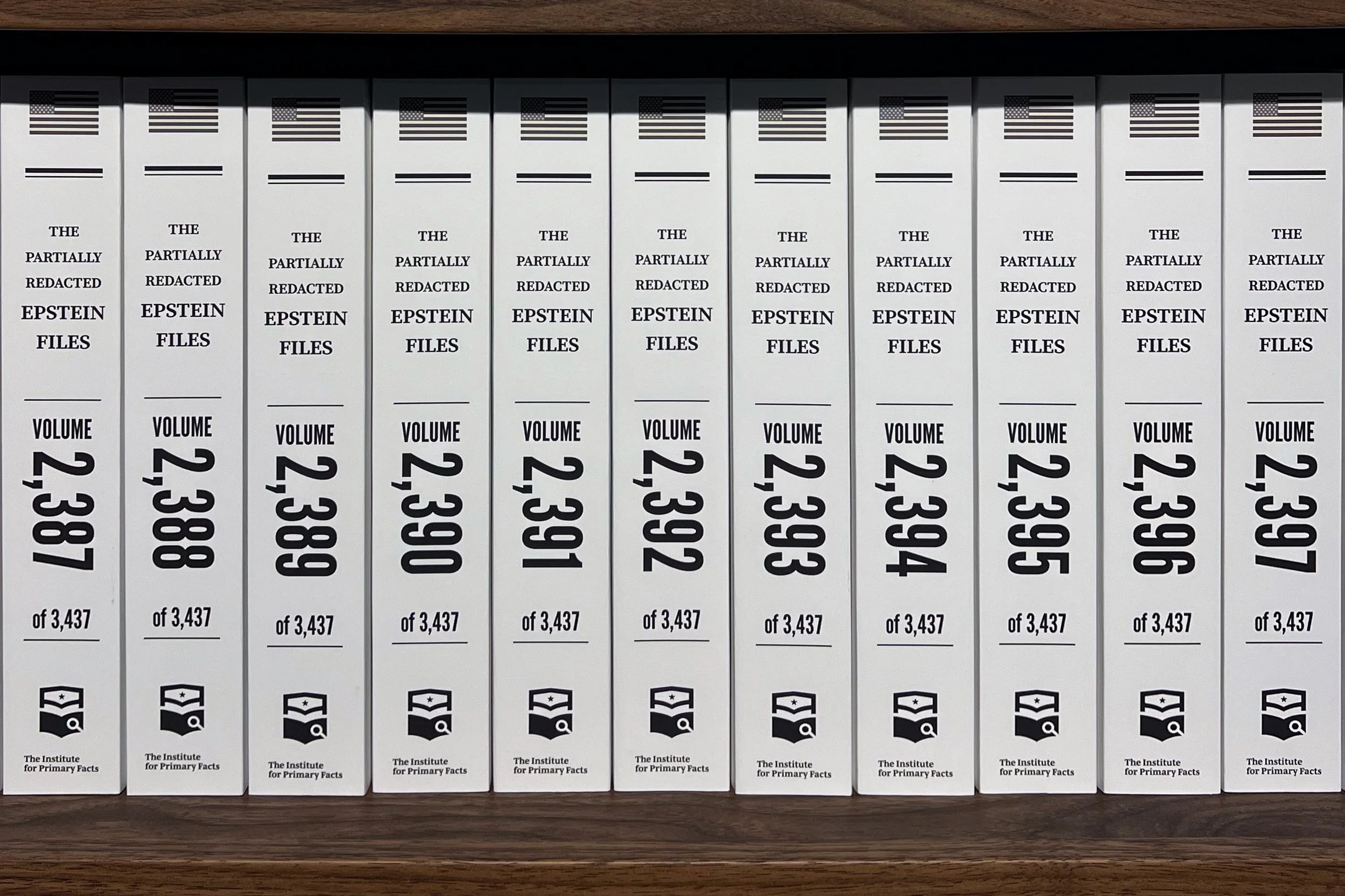 The Donald J. Trump and Jeffrey Epstein Memorial Reading Room