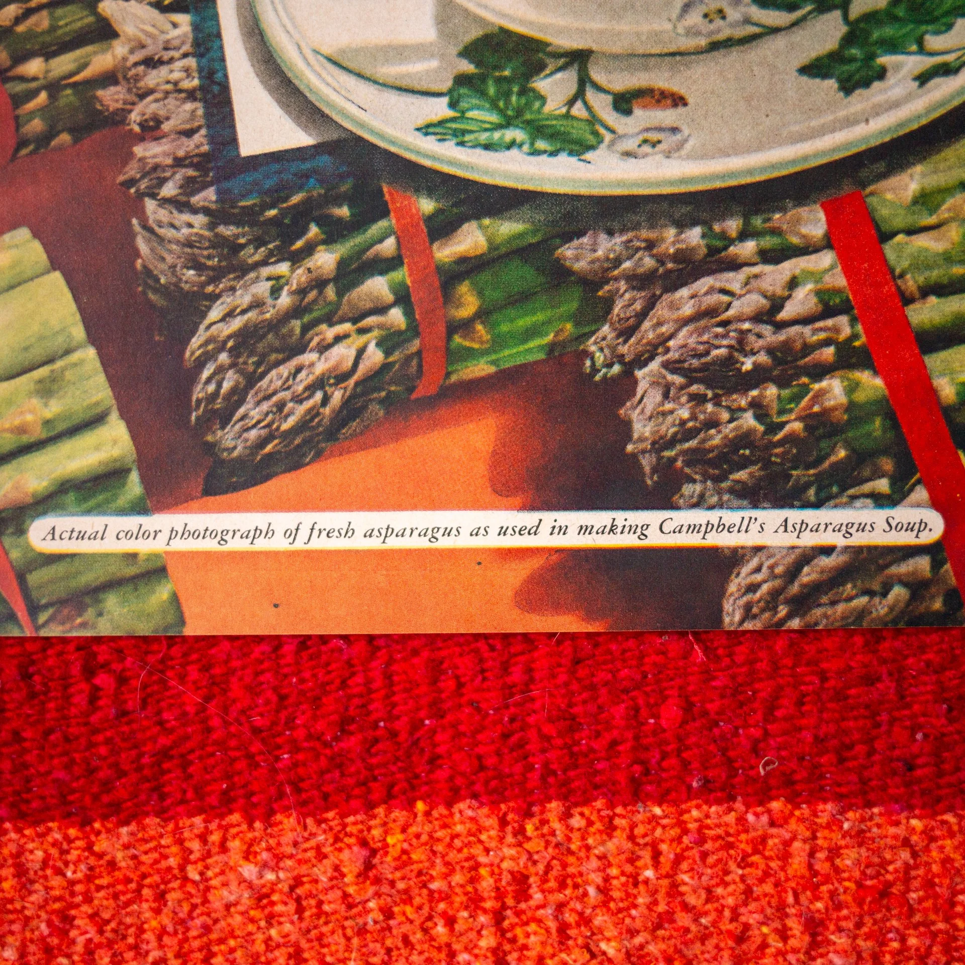 cc_4-26-26-122.jpg