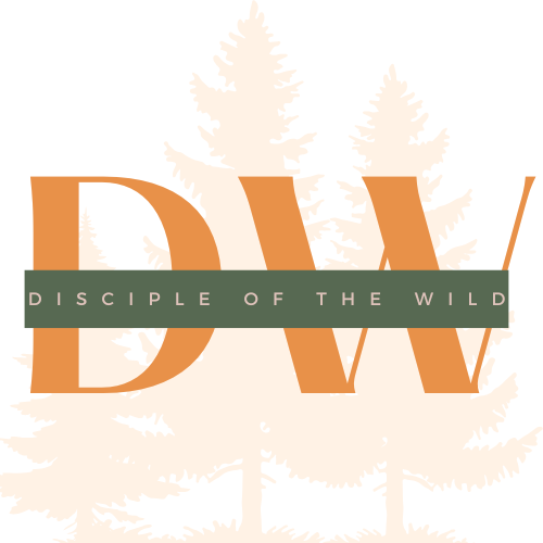 the Roots of Rhythm Remain