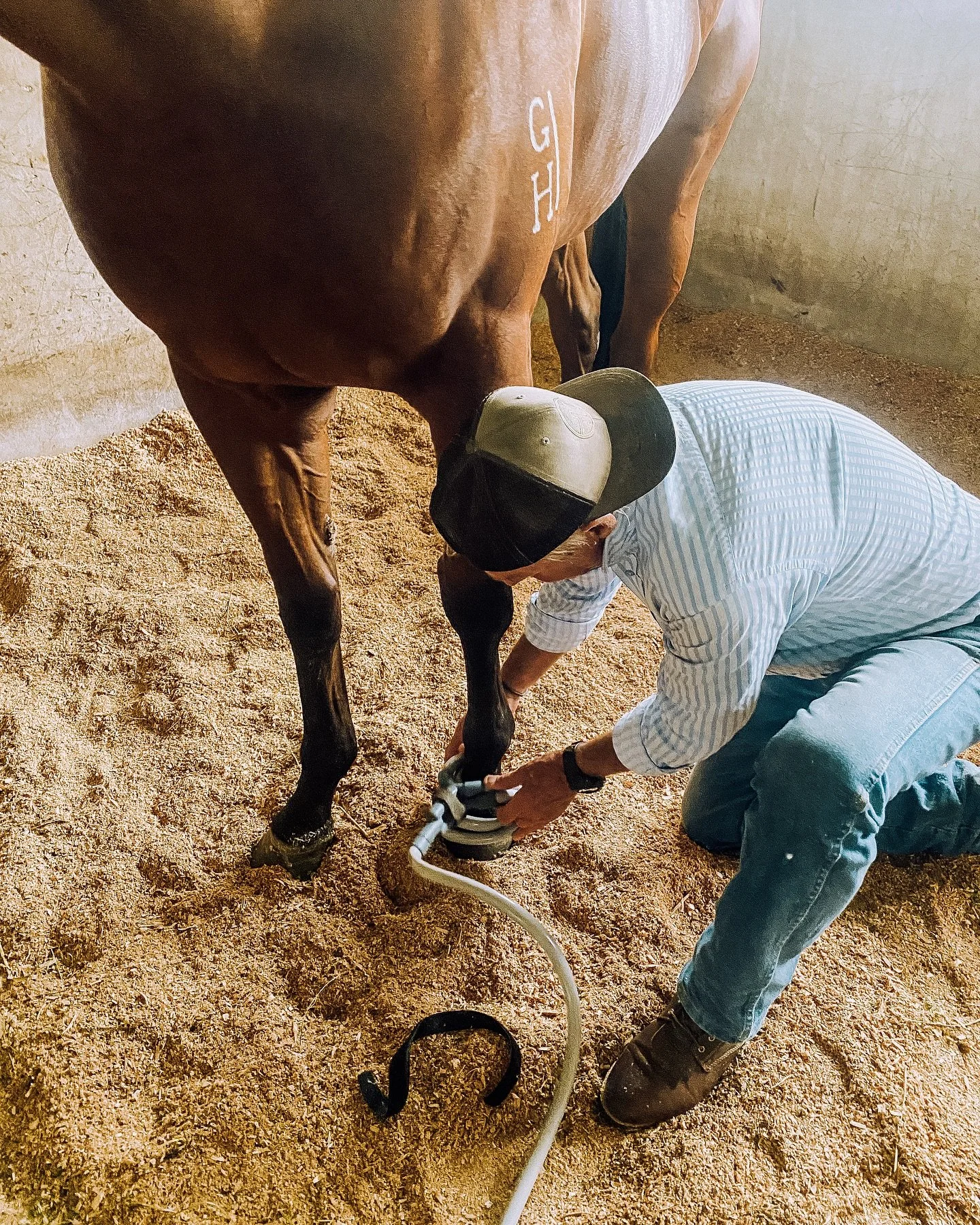 ⚡️𝐀𝐥𝐰𝐚𝐲𝐬 𝐥𝐞𝐚𝐫𝐧𝐢𝐧𝐠 ⚡️

Thank you to Peter and Nancy for having me visit for some continuous development. I&rsquo;m excited to bring what I&rsquo;ve learnt to my clients, both horse and human 🫶🏼
#pemf 
 
 
 
 
 
 
 
 
#pulsepemf #pemfth