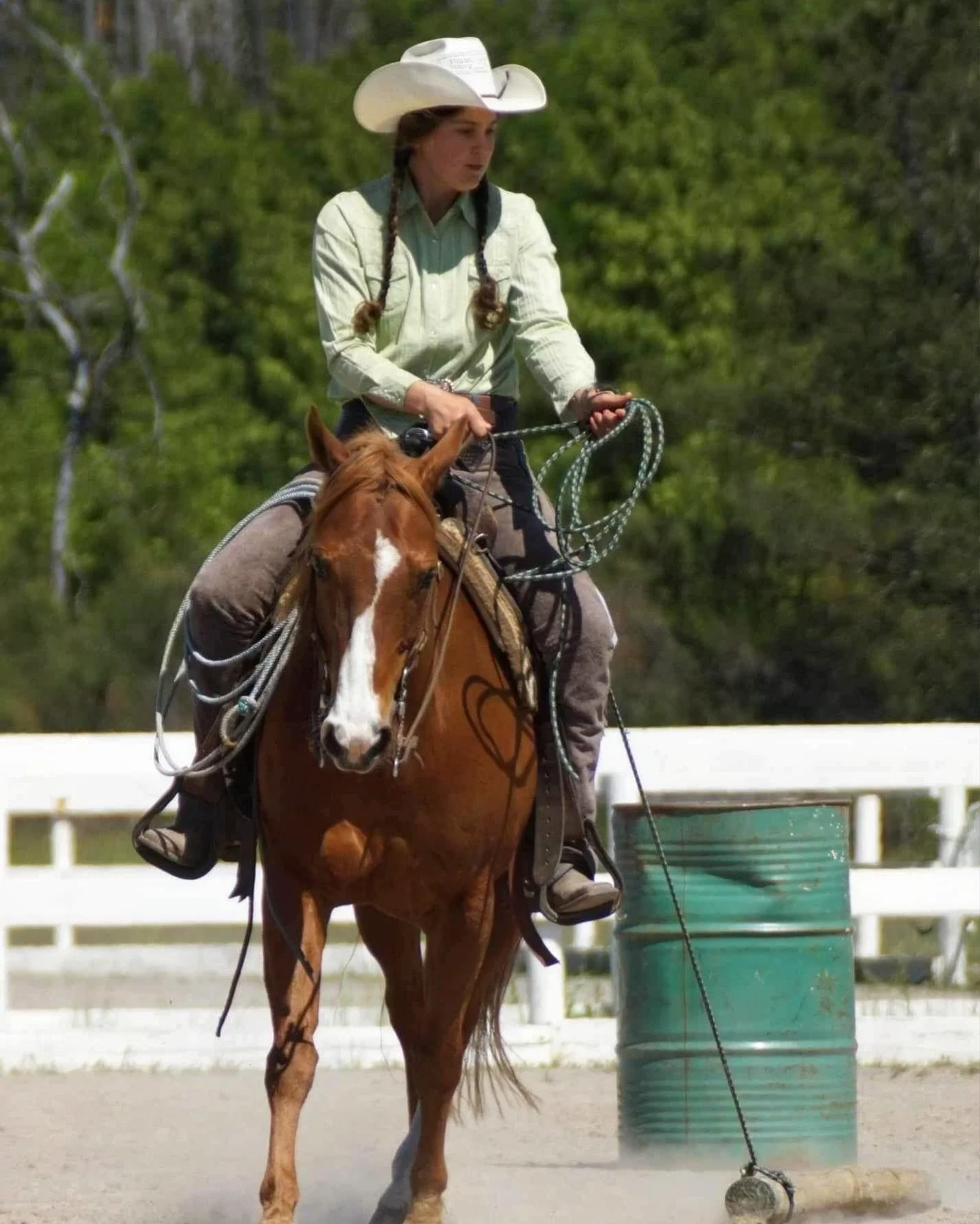 Good luck at @equitanaaustralia to client turned friend @emilychapman_aus and her sweet boy Precious Toy fondly known as Jaffa! I&rsquo;ll be cheering you on from afar 😍 
#pemf 
 
 
 
 
 
 
 
 
#pulsepemf #pemftherapy #wellness #health #healthylifes