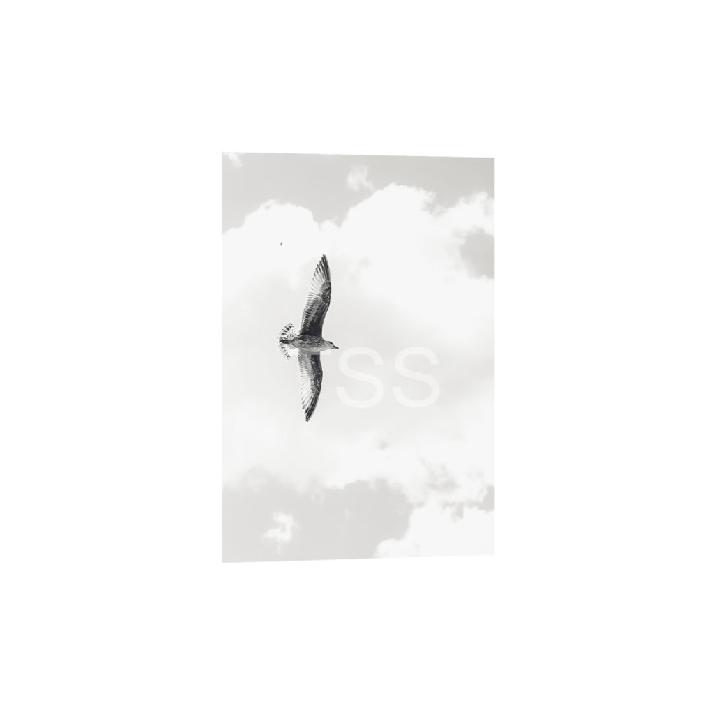 ptq_1_3_438_0_11666_17500_0_true_ffffff_1_1_877b1540498bd253859cdebf2274ec8d.png