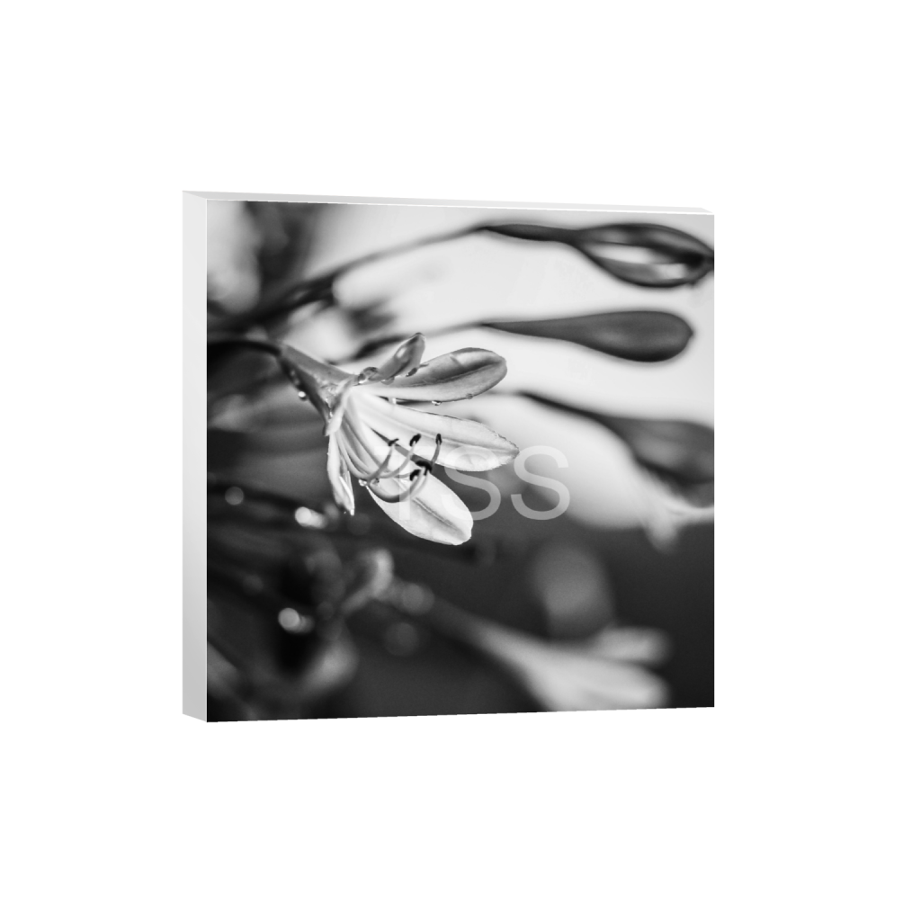 ptq_7_0_0_0_3440_3440_0_false_ffffff_0_0_877b1540498bd253859cdebf2274ec8d.png