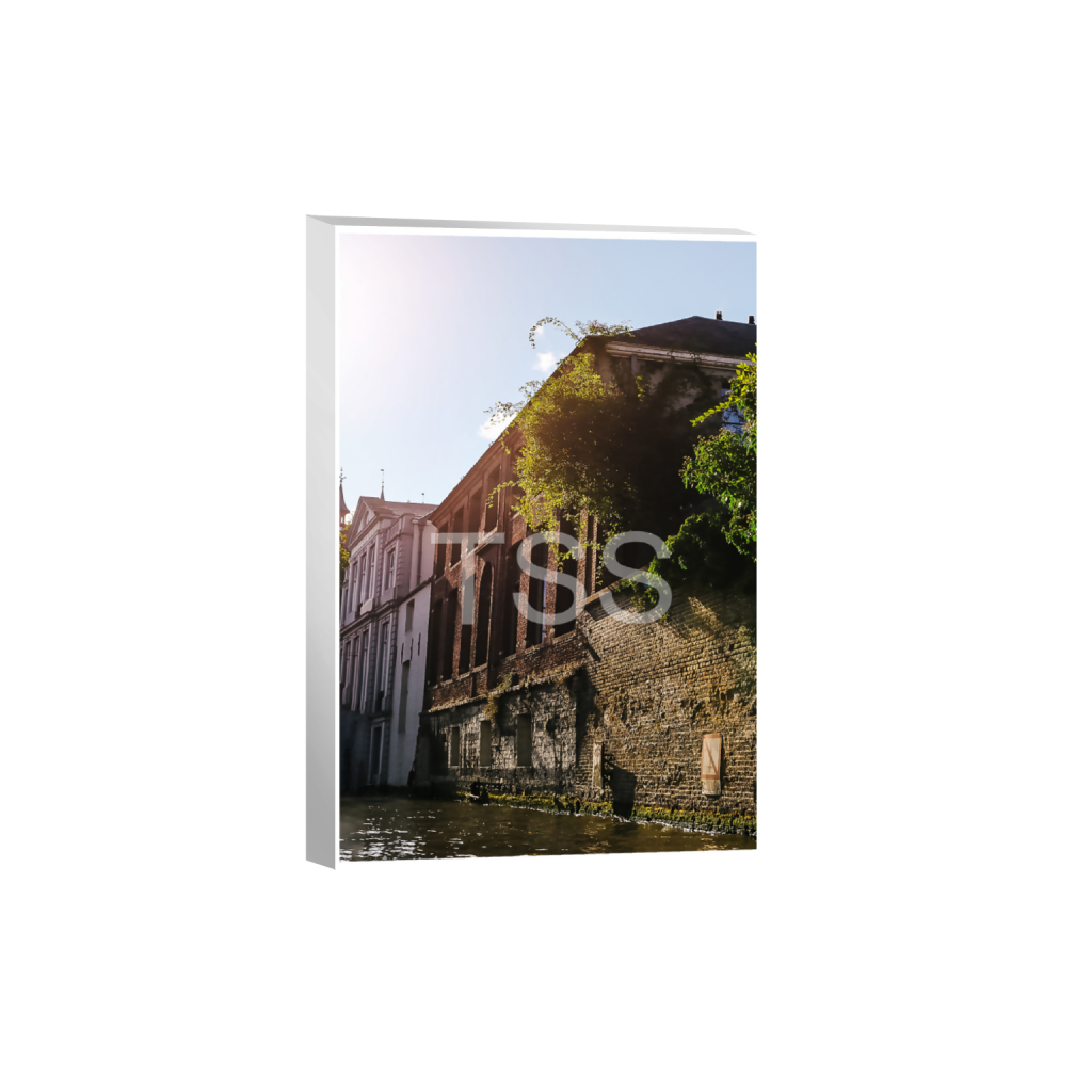ptq_7_3_0_0_11666_17500_0_true_ffffff_1_1_877b1540498bd253859cdebf2274ec8d.png