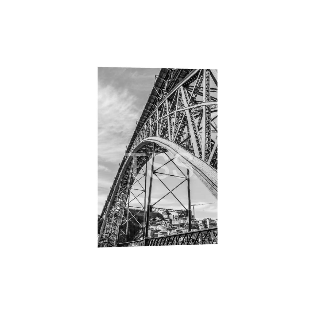 ptq_1_3_342_0_12970_19455_0_true_ffffff_1_1_877b1540498bd253859cdebf2274ec8d.png