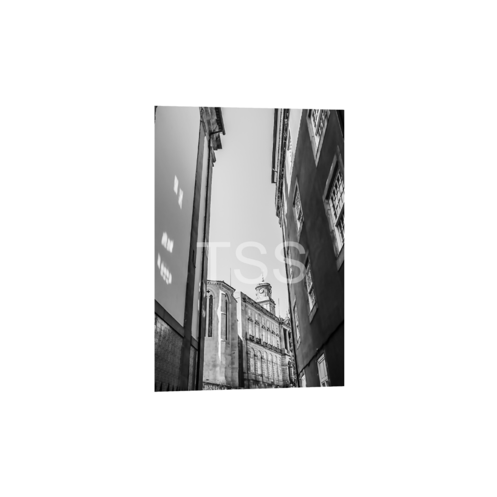 ptq_1_3_0_0_13750_20625_0_true_ffffff_1_1_877b1540498bd253859cdebf2274ec8d.png