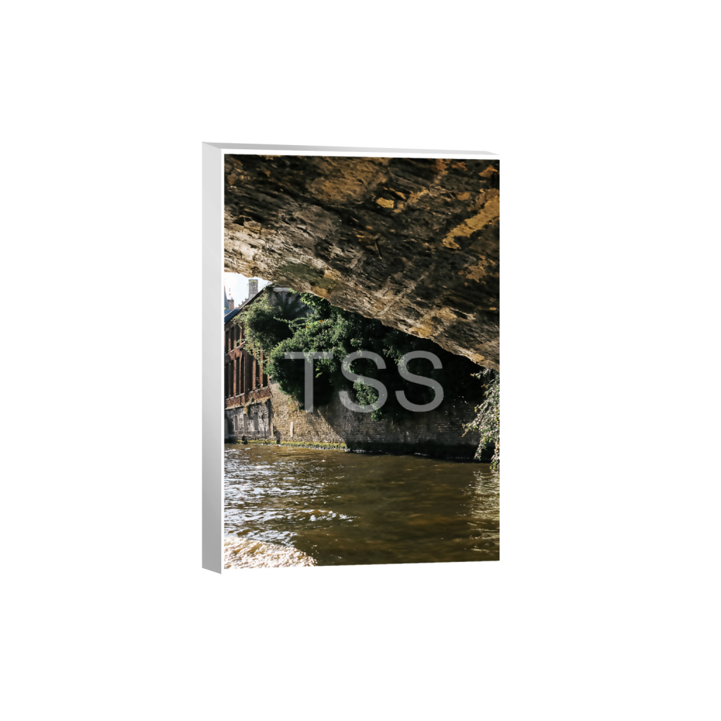 ptq_7_3_886_0_11666_17500_0_true_ffffff_1_1_877b1540498bd253859cdebf2274ec8d.png