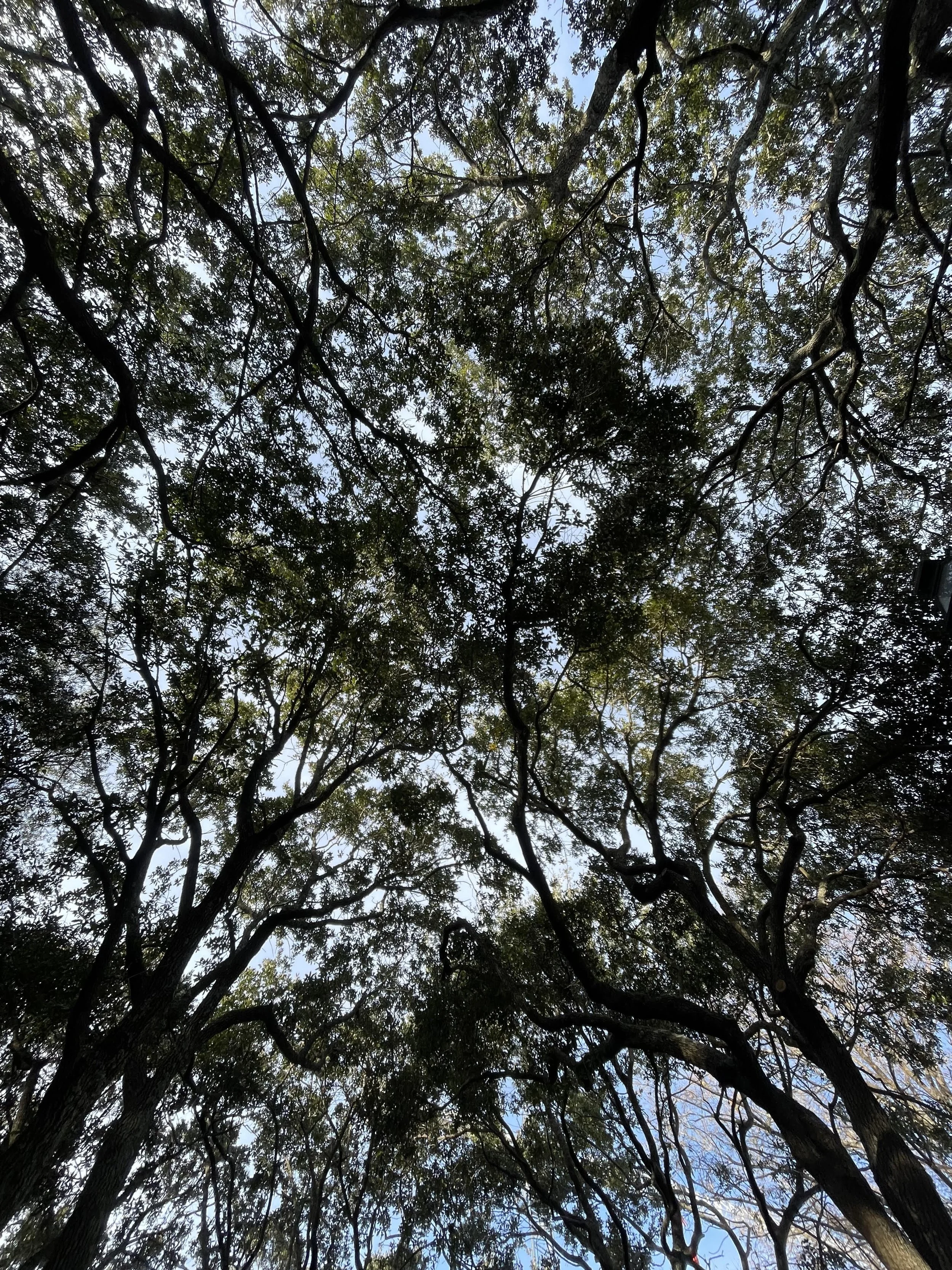 le troisième: the adaptive unconscious