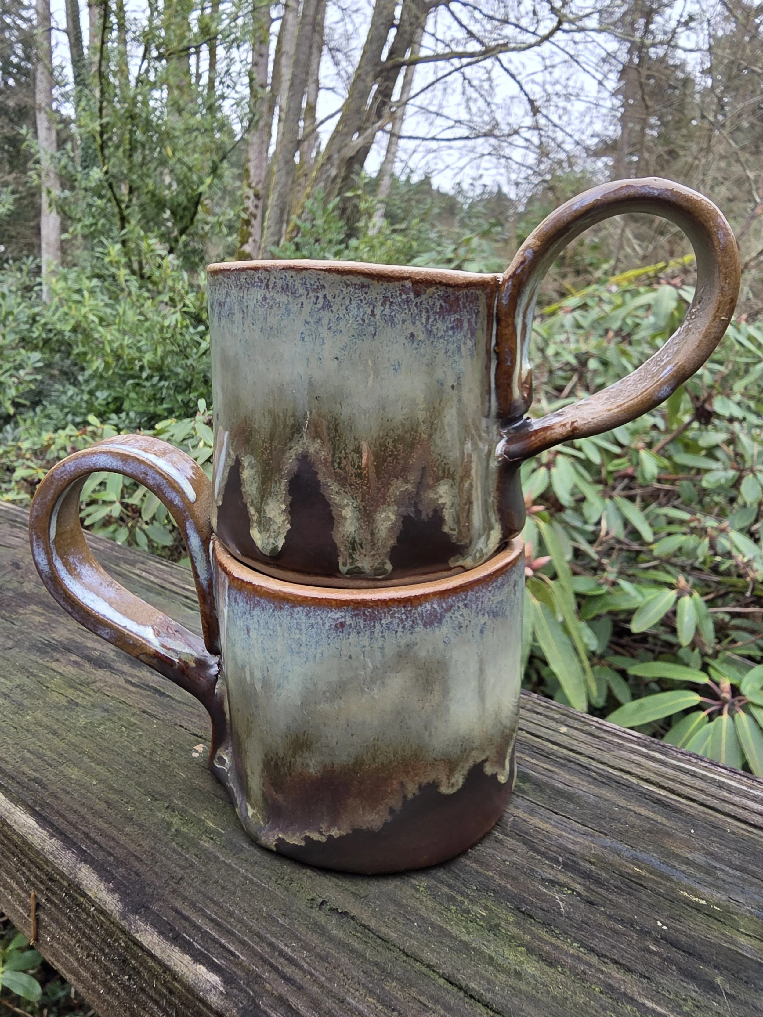 lichen mugs.jpg (Copy)
