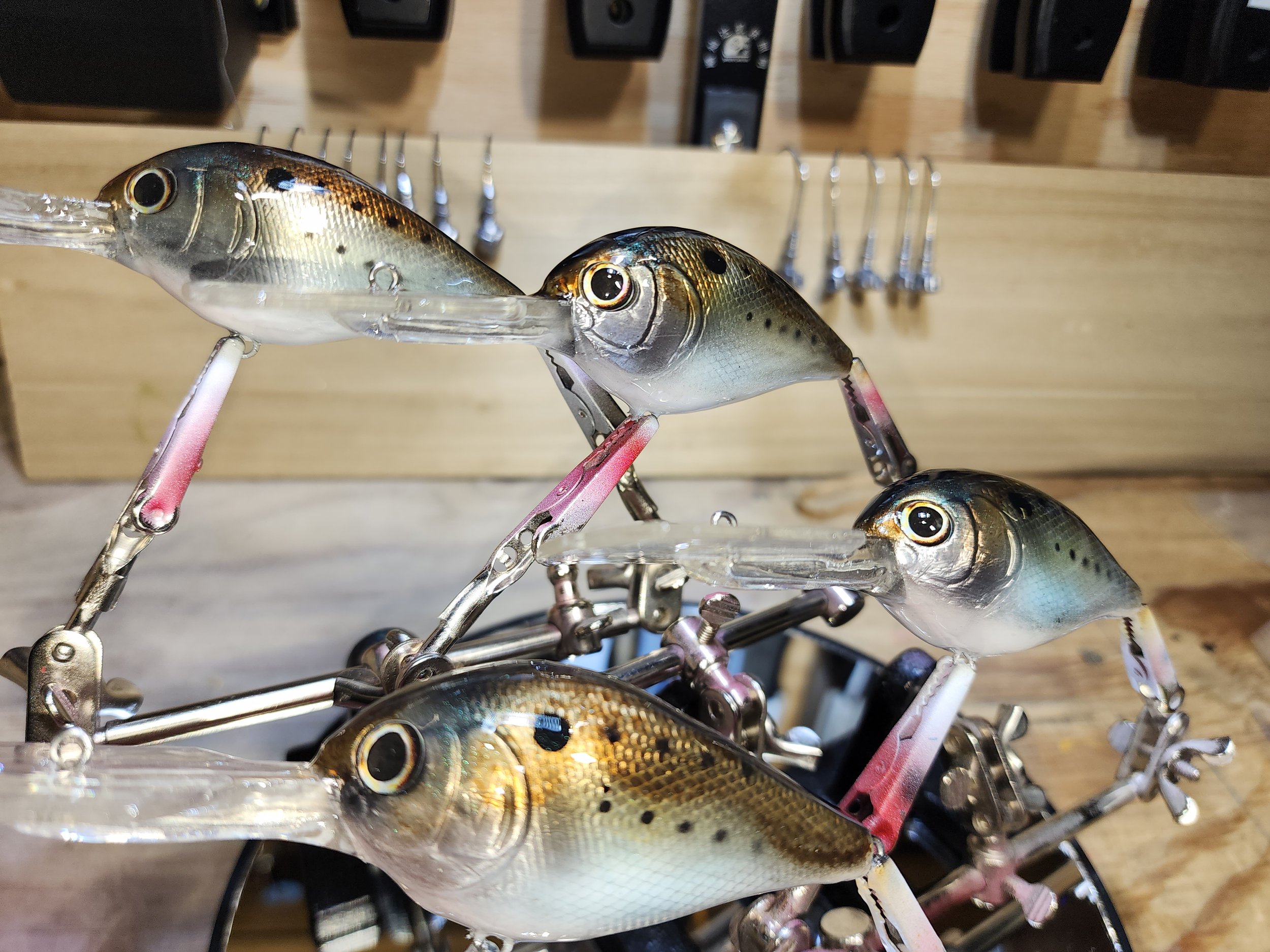 ITO- SHINER JDM – EliteBaitShop.Com