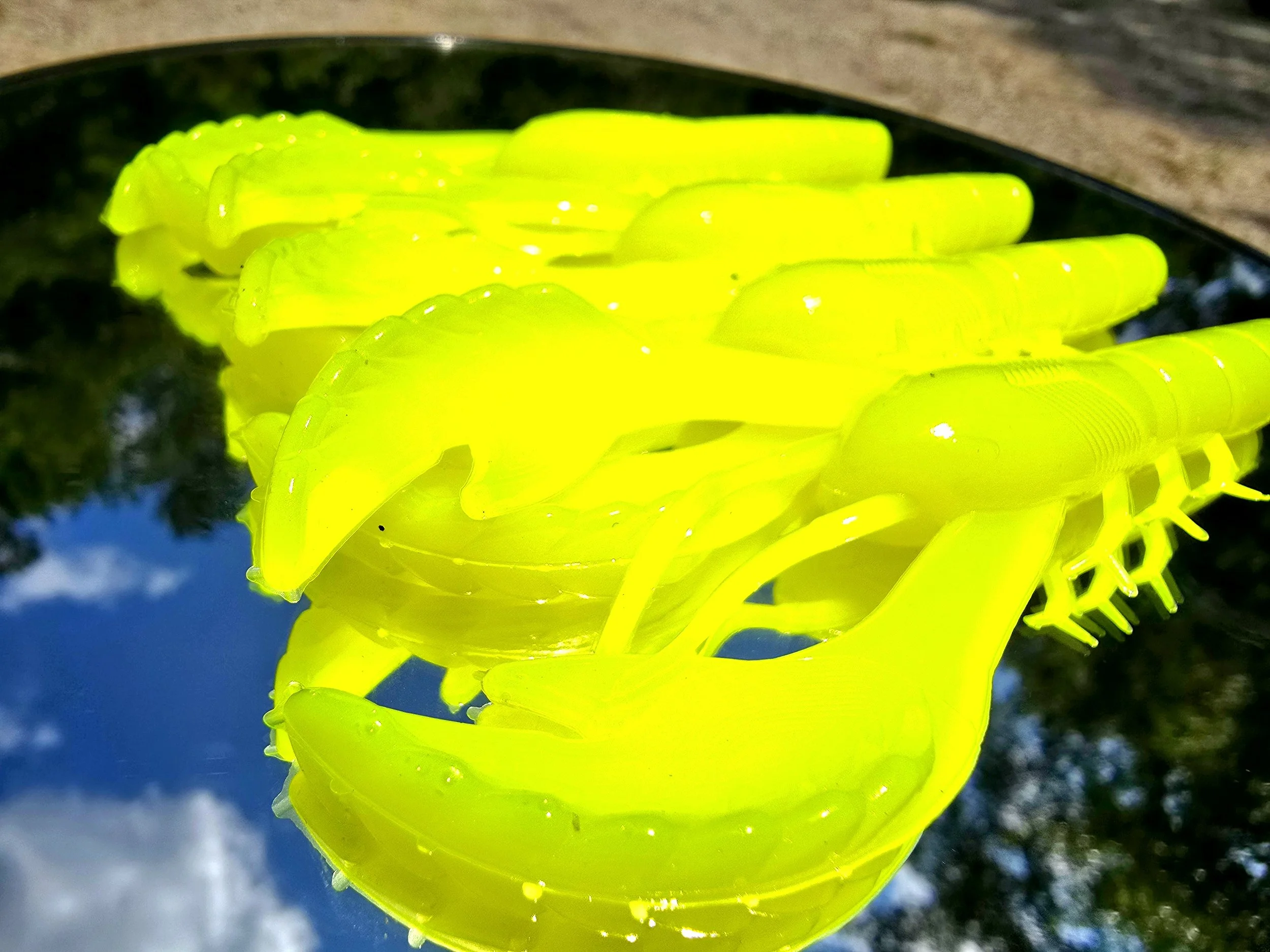processed_f8fc878652404dcfa8726ec4a02b232e.jpeg