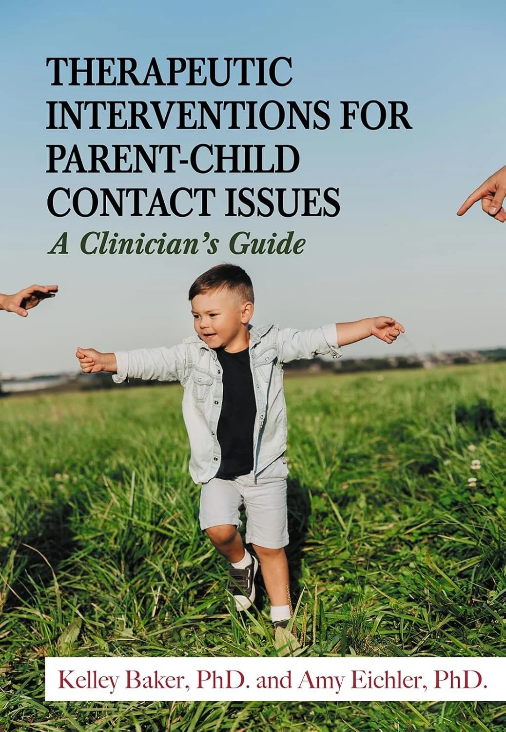 Therapeutic Interventions for Parent-child Contact Issues: A Clinician's Guide