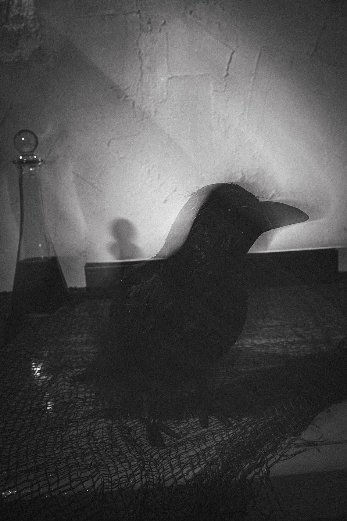 DSC02691.jpeg