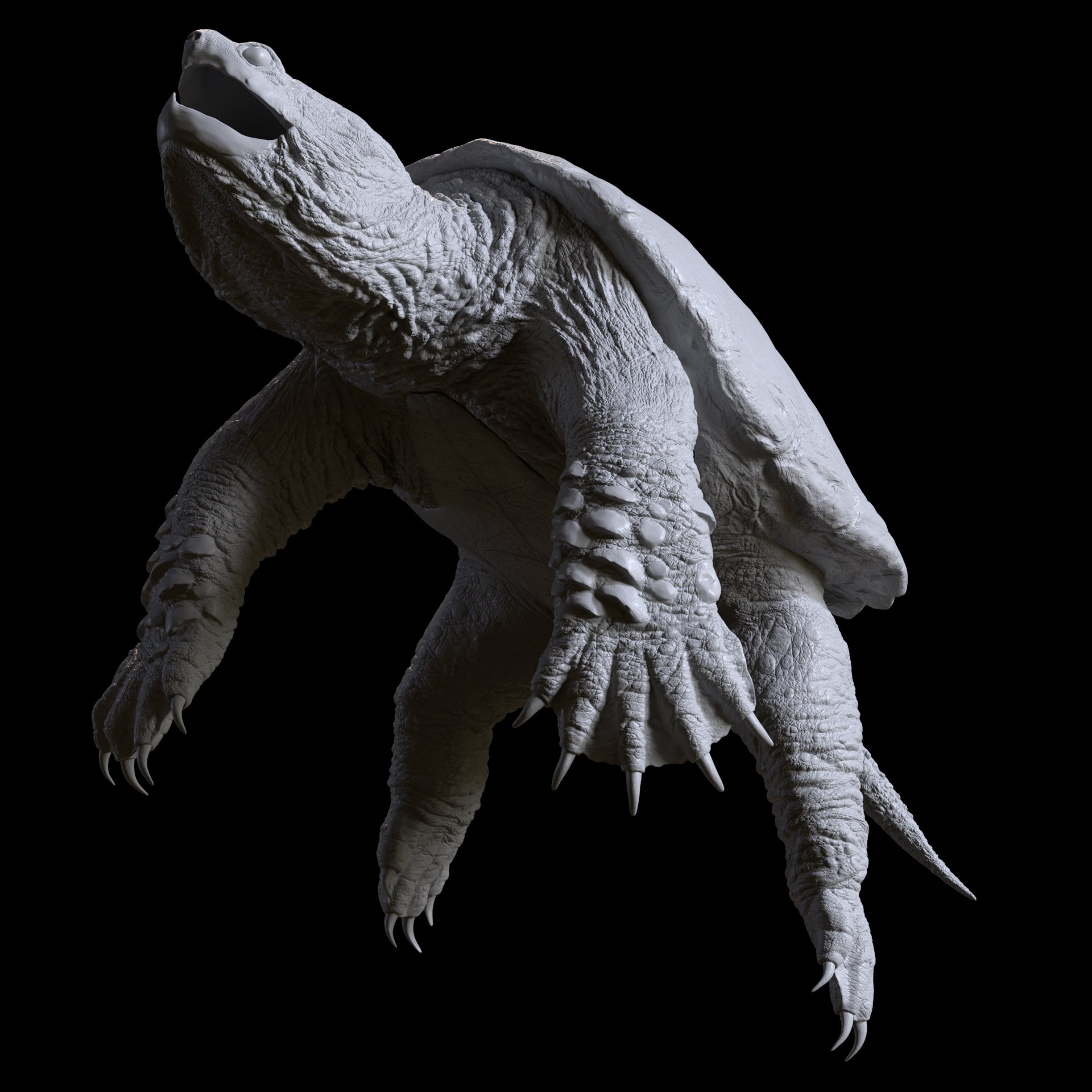 clay_v001.jpg