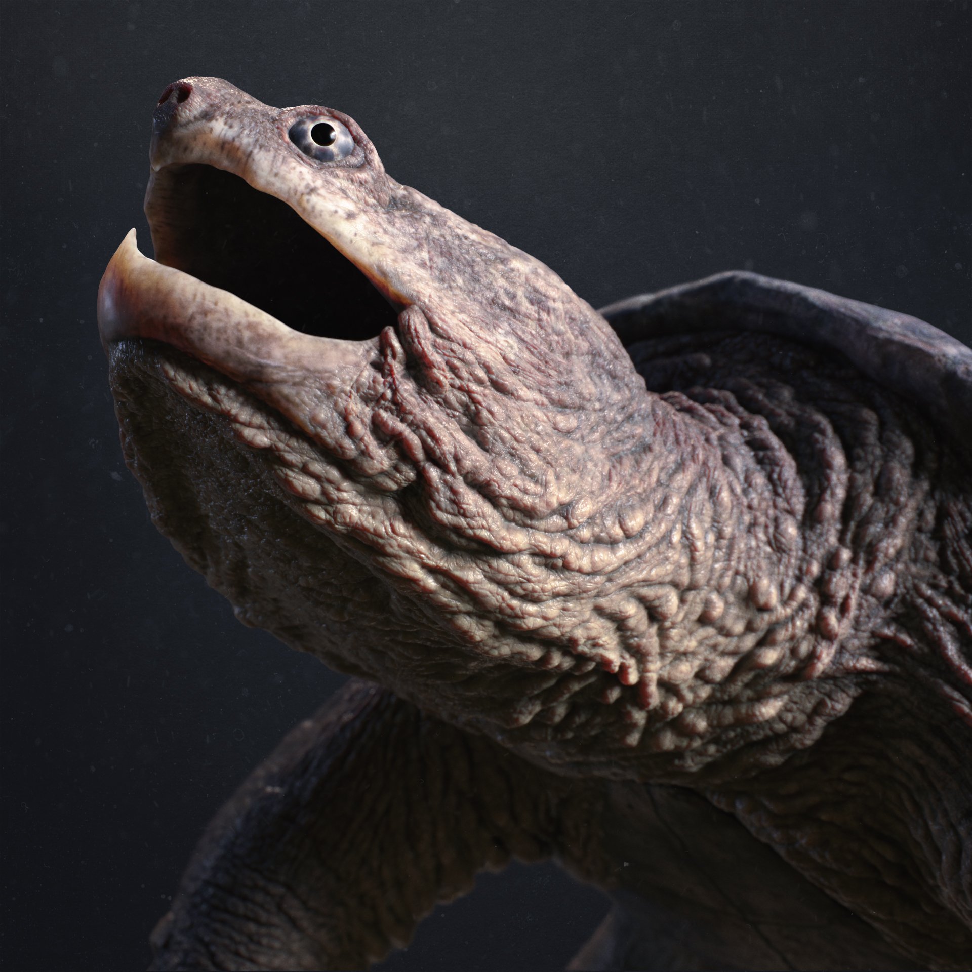lighting_head_closeup.jpg