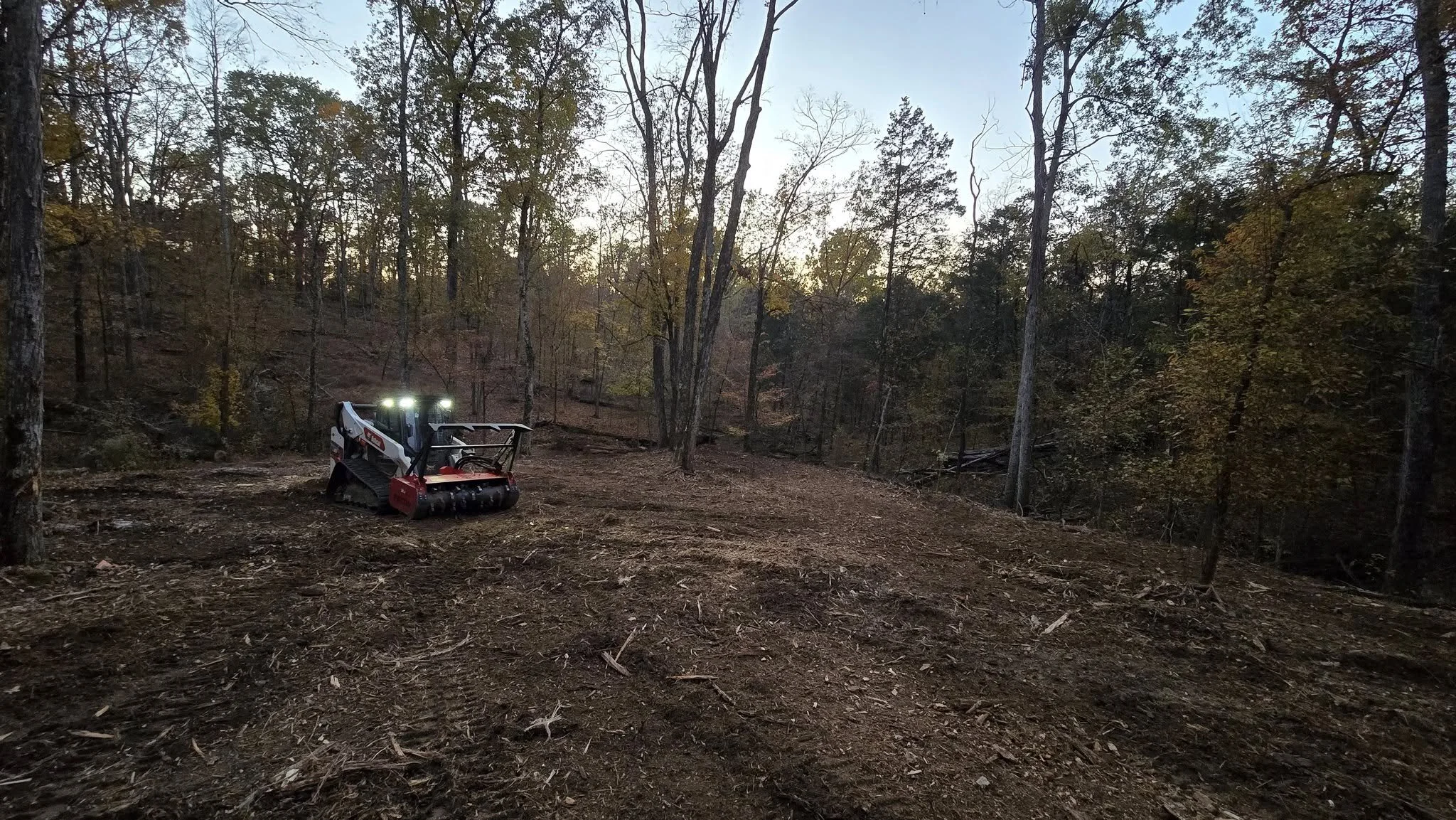 Forestry Mulching = Land Restoration