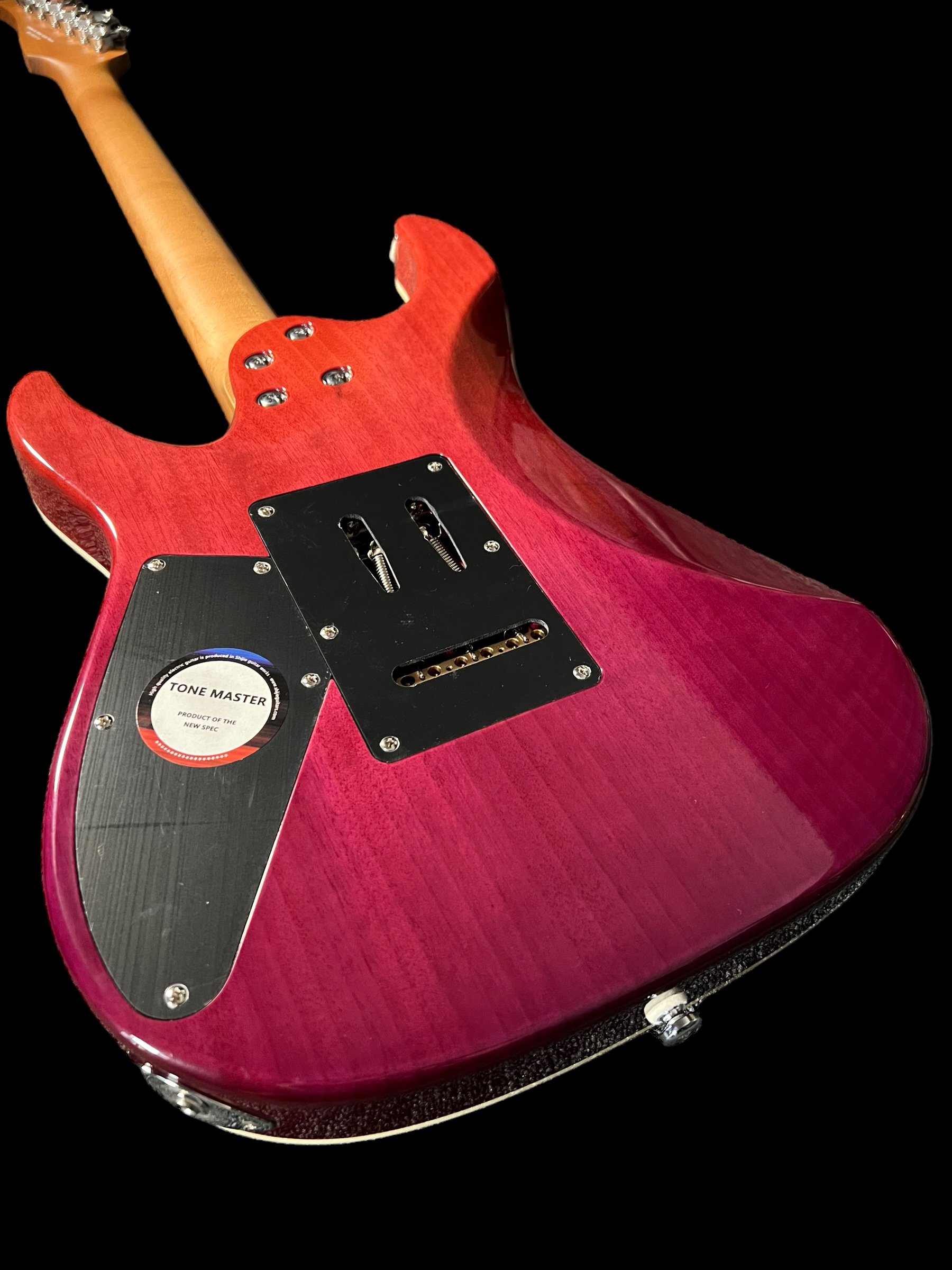 Shijie Guitars - 2023 Tonemaster TM5 6.JPG