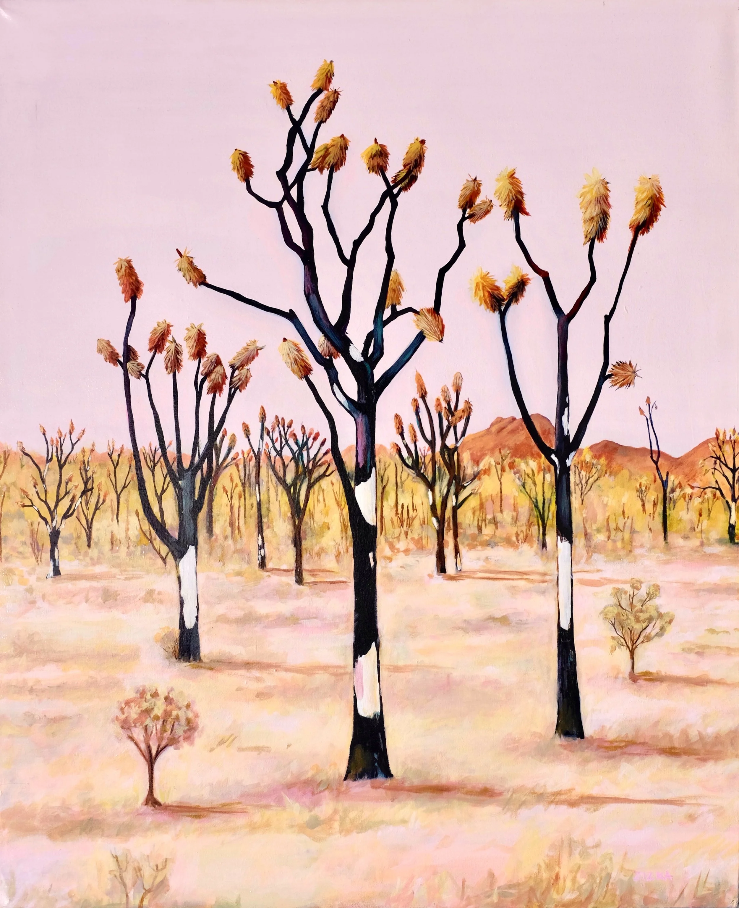 Mojave Landscape Series