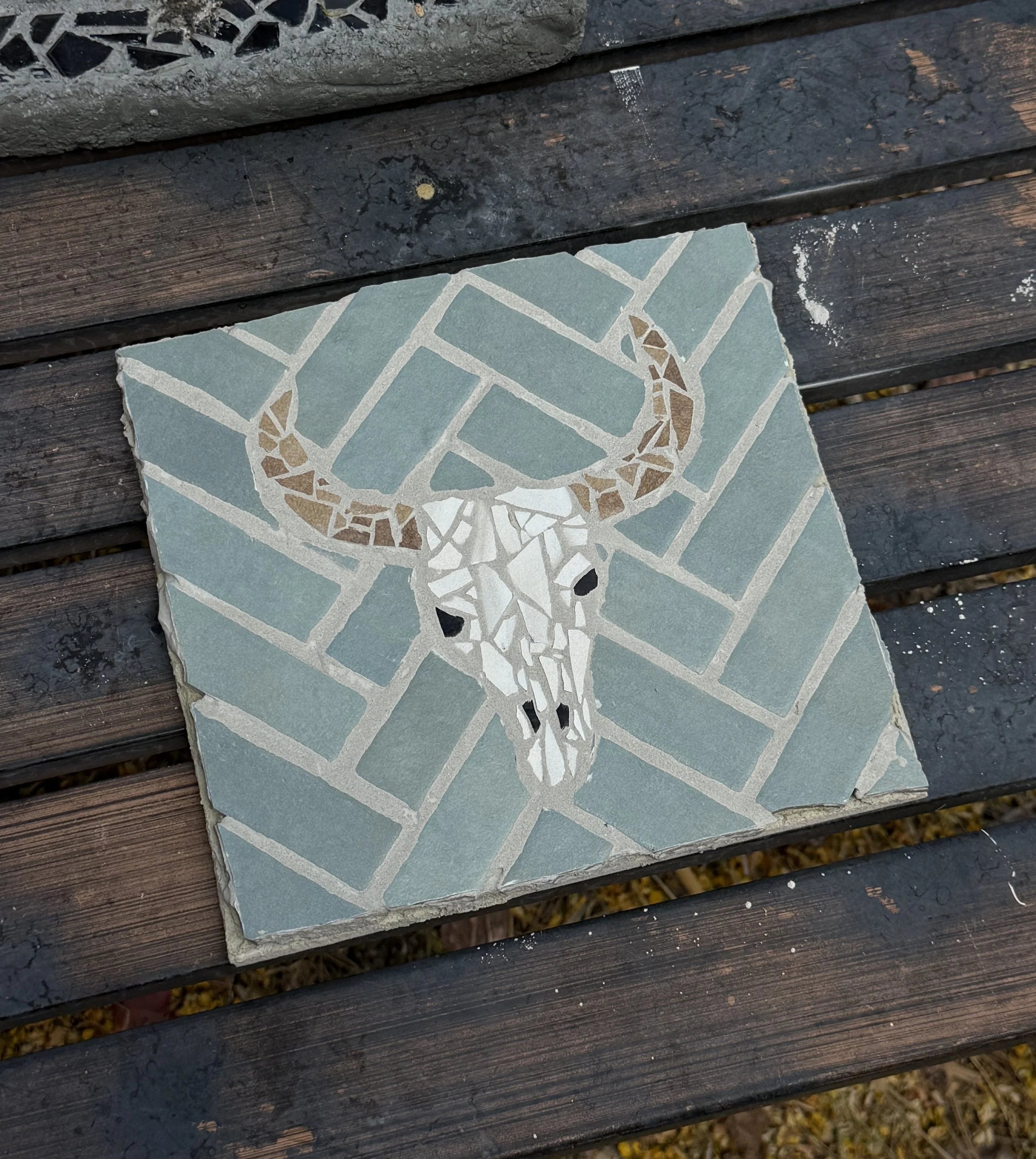 CowSkull.jpg