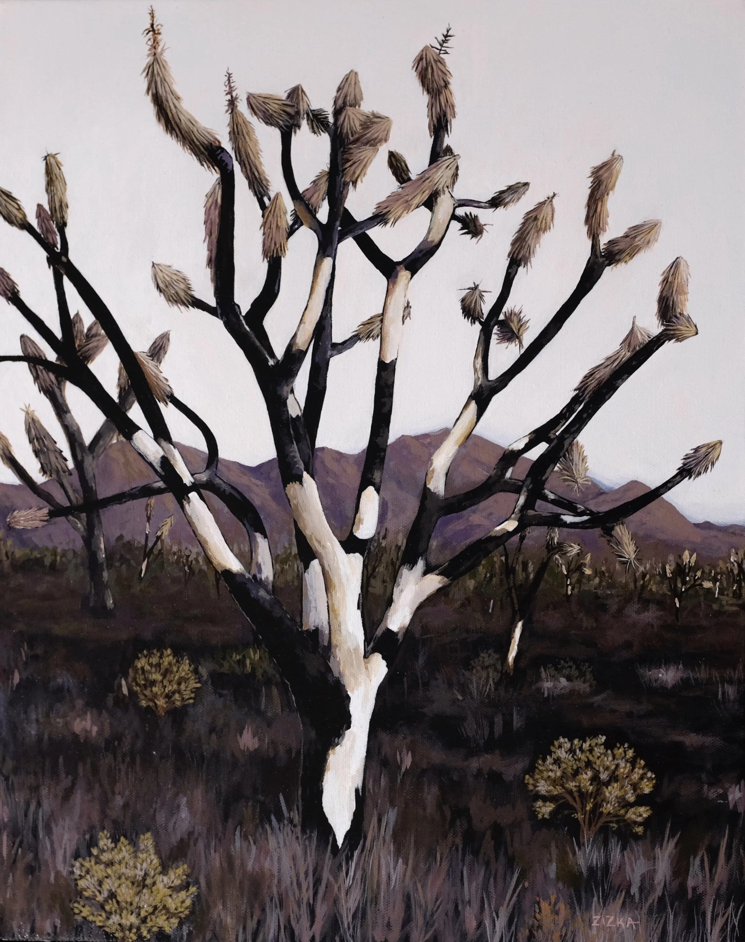 16"x 20" Mojave Original 15: Acrylic on Canvas (in a black floater frame) $1250
