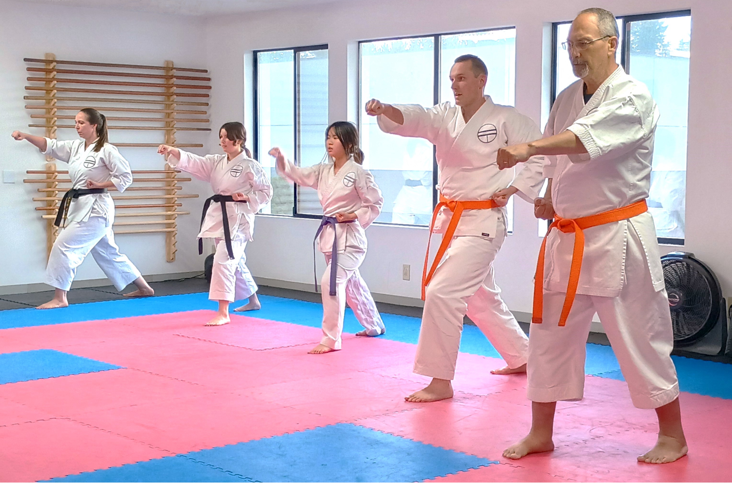 Main Dojo Tuition