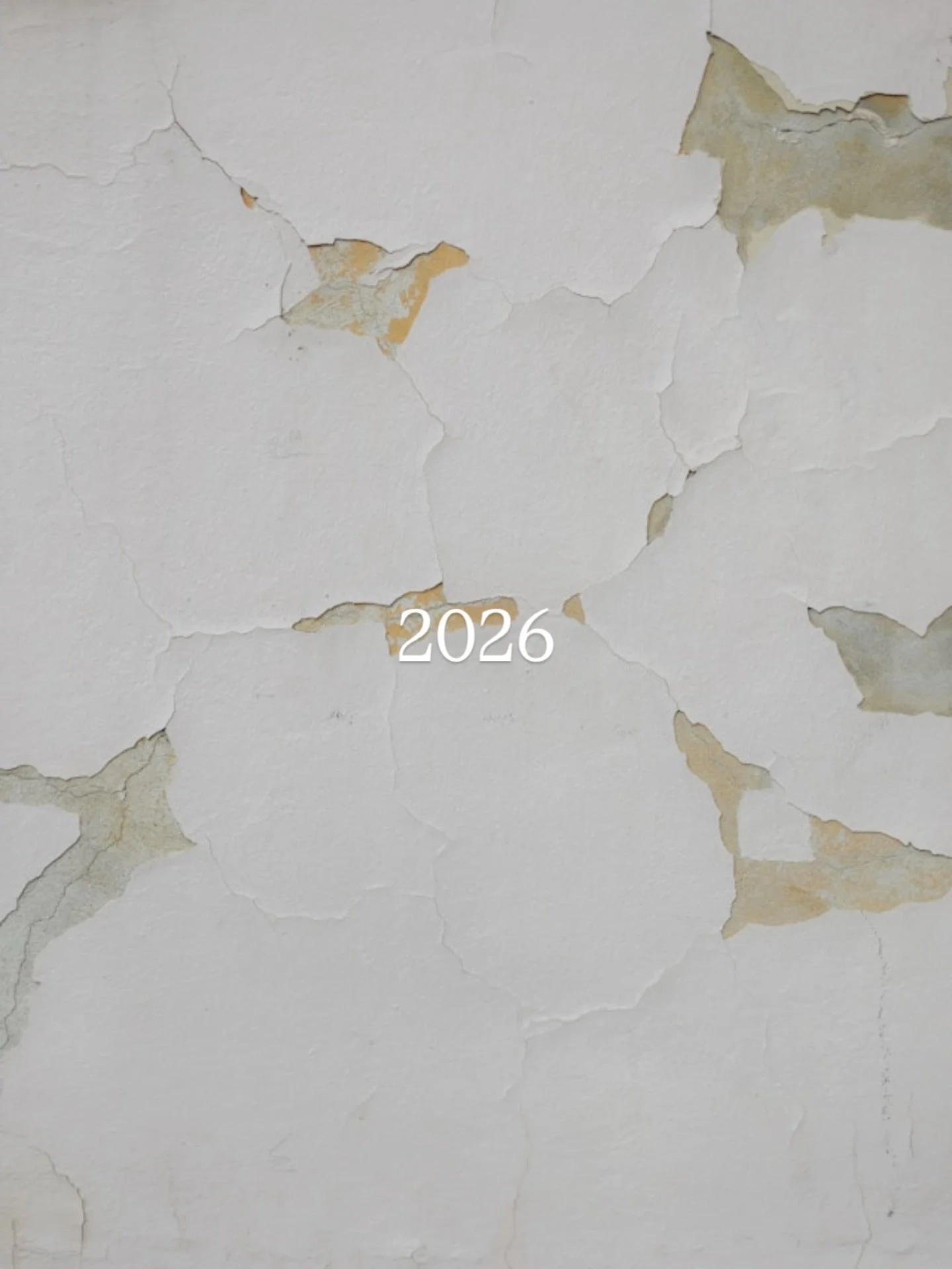 2026 |  new opportunities ✌️