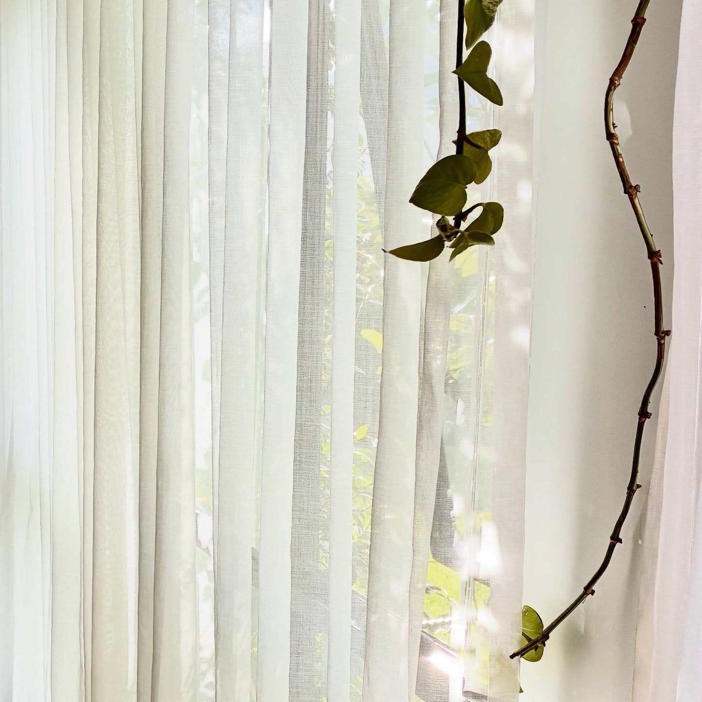 Find your peace and quiet at Flooid Pilates ✌️ 

Our five minute cool down at the end of each session, accompanied by soothing meditation music, is the perfect way to reconnect and unwind. Join us and experience the difference! 

#flooidpilates #geel