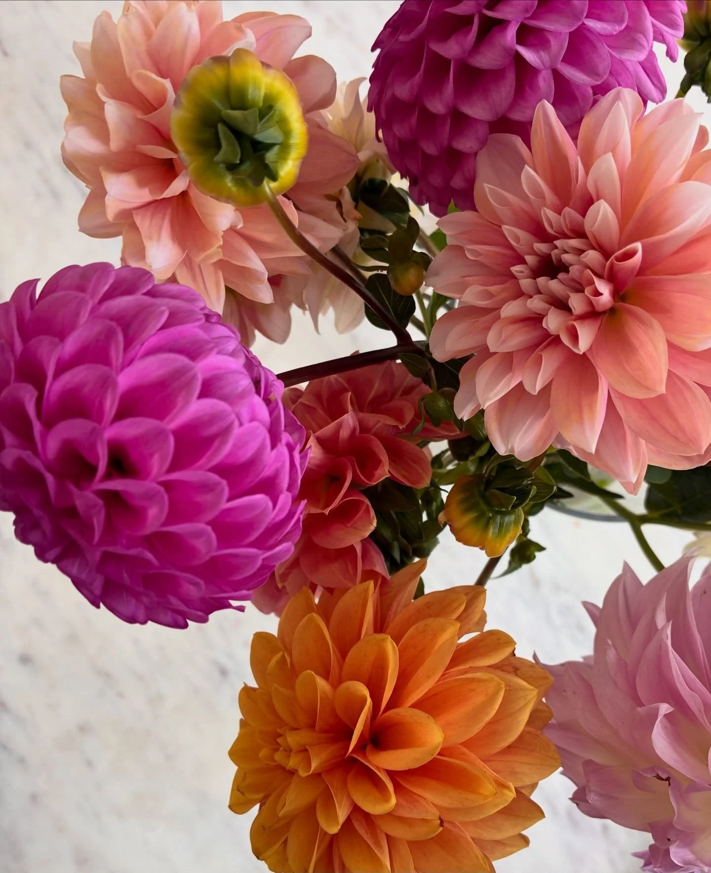 "Every flower blooms in its own time"