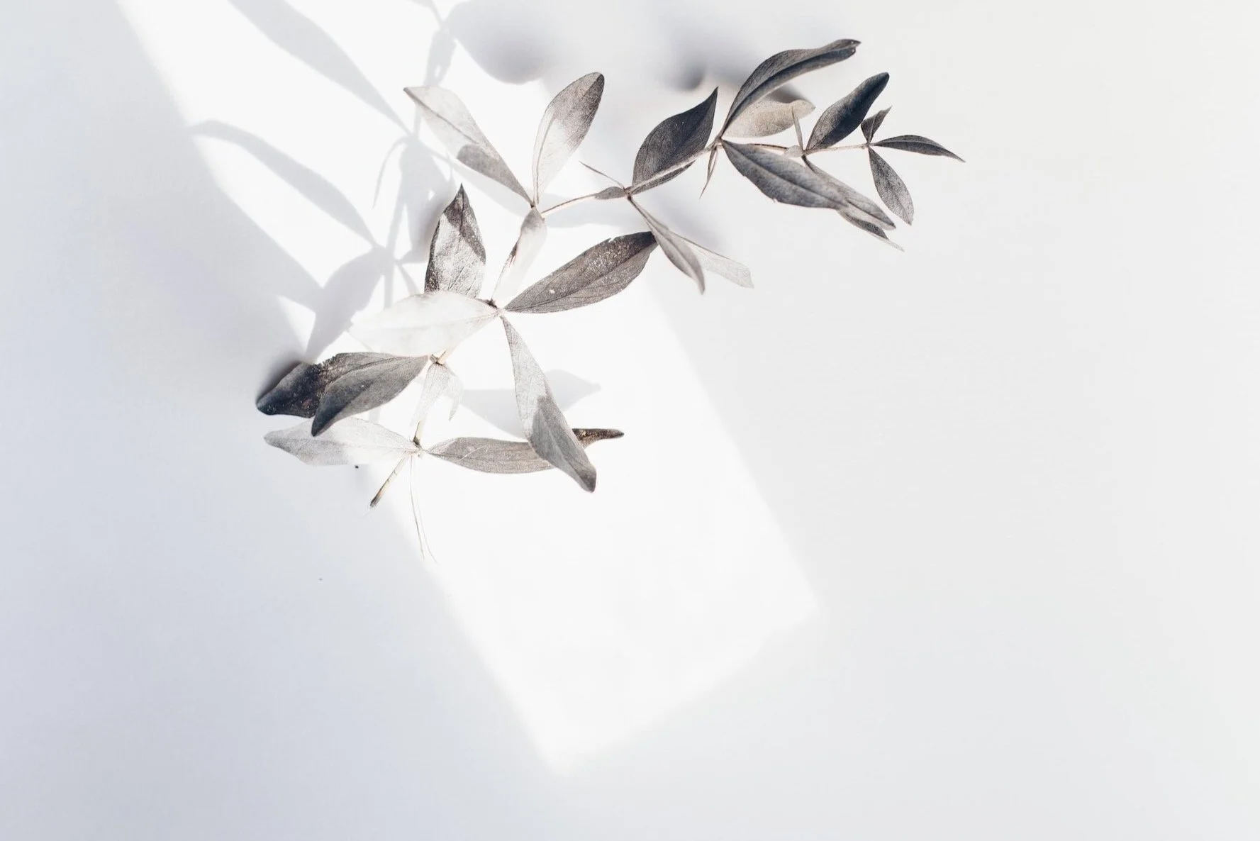 Flooid Pilates Reformer Pilates Geelong