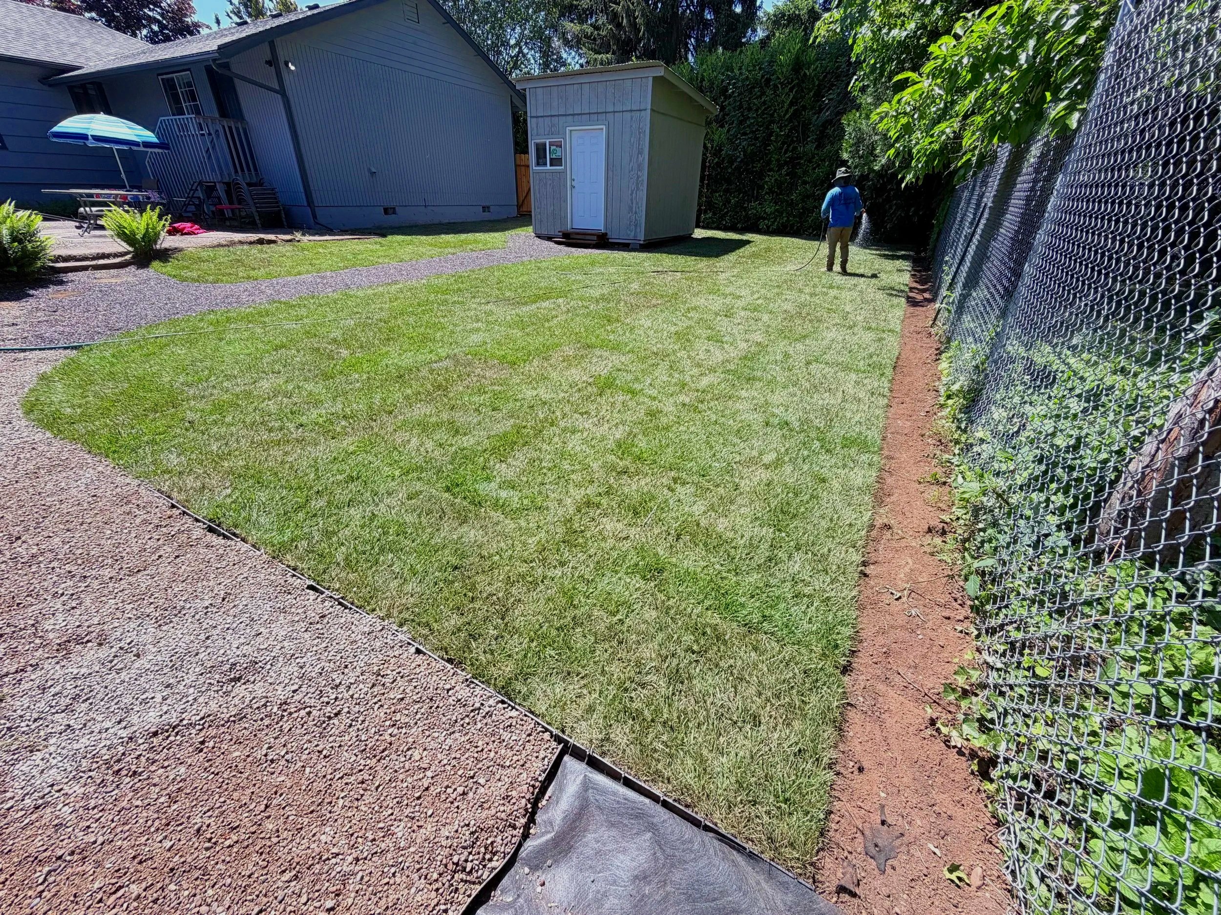 A person wearing a blue shirt and khaki pants watering plants in a backyard. The yard has a concrete pathway, a small wooden shed, a fenced boundary on the right, and a house in the background.