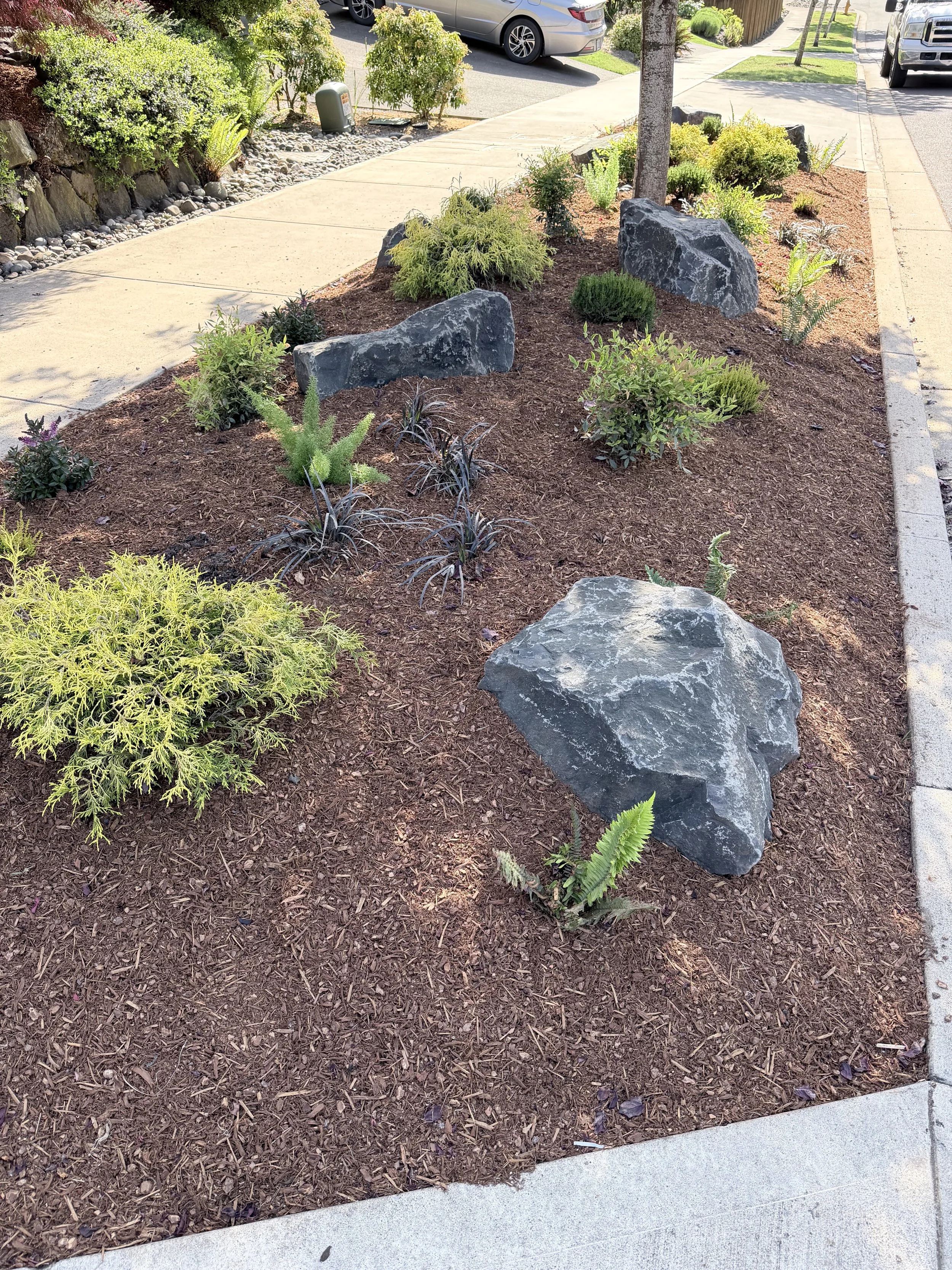 A landscaped street corner featuring a mulched flower bed with various small green plants, bushes, and large rocks, adjacent to a concrete sidewalk and curb, with parked cars and trees in the background.