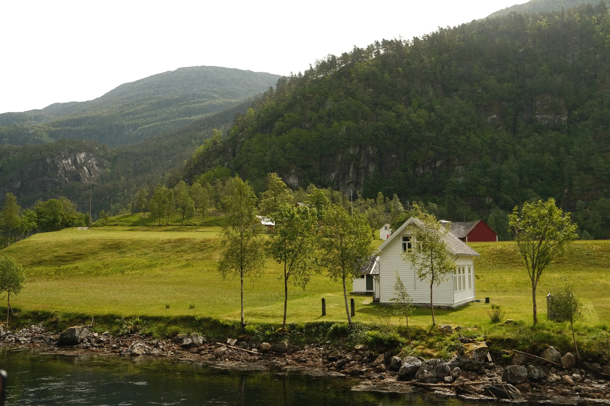 DSCF7505.jpg