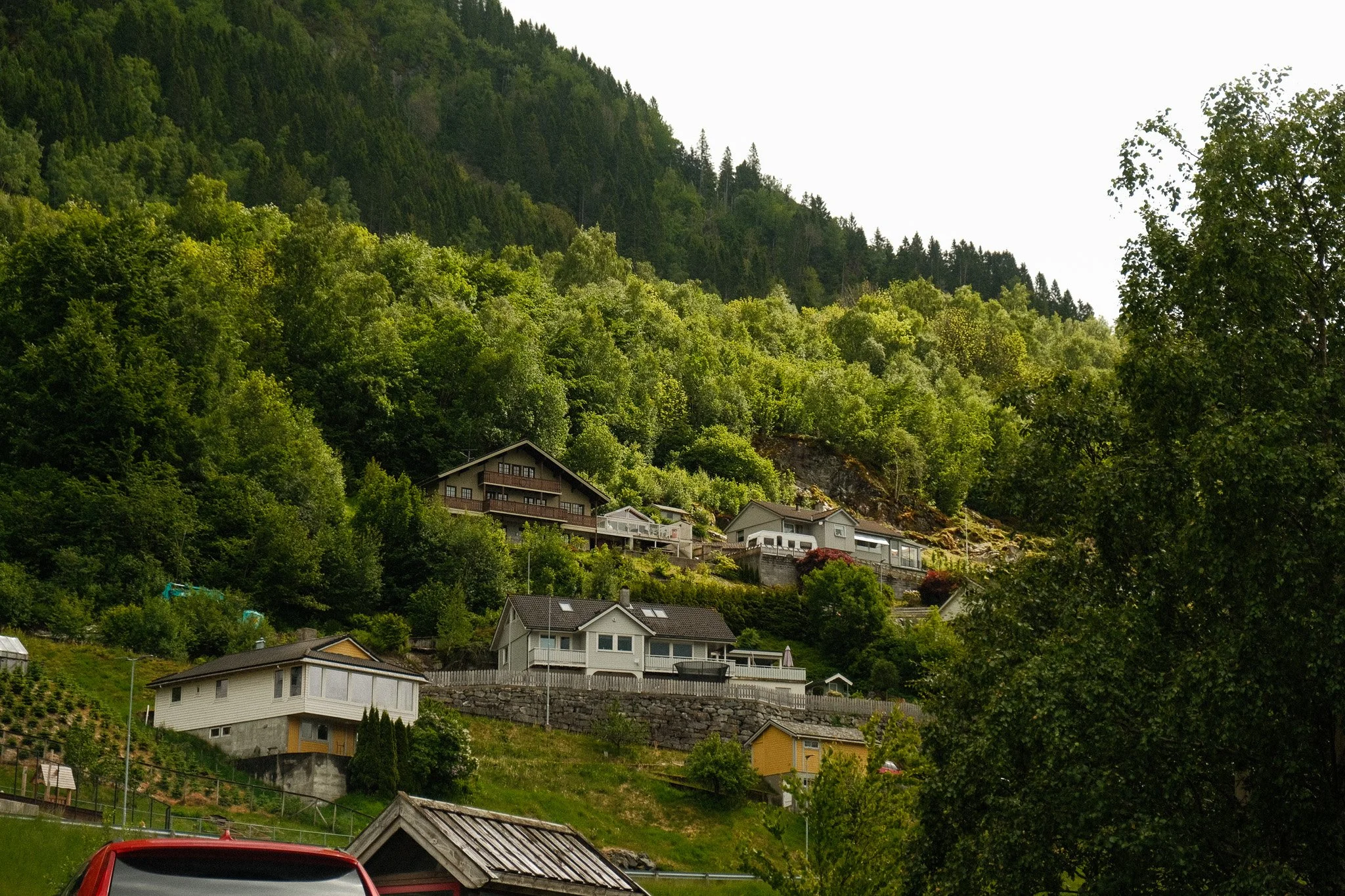 DSCF7181.jpg