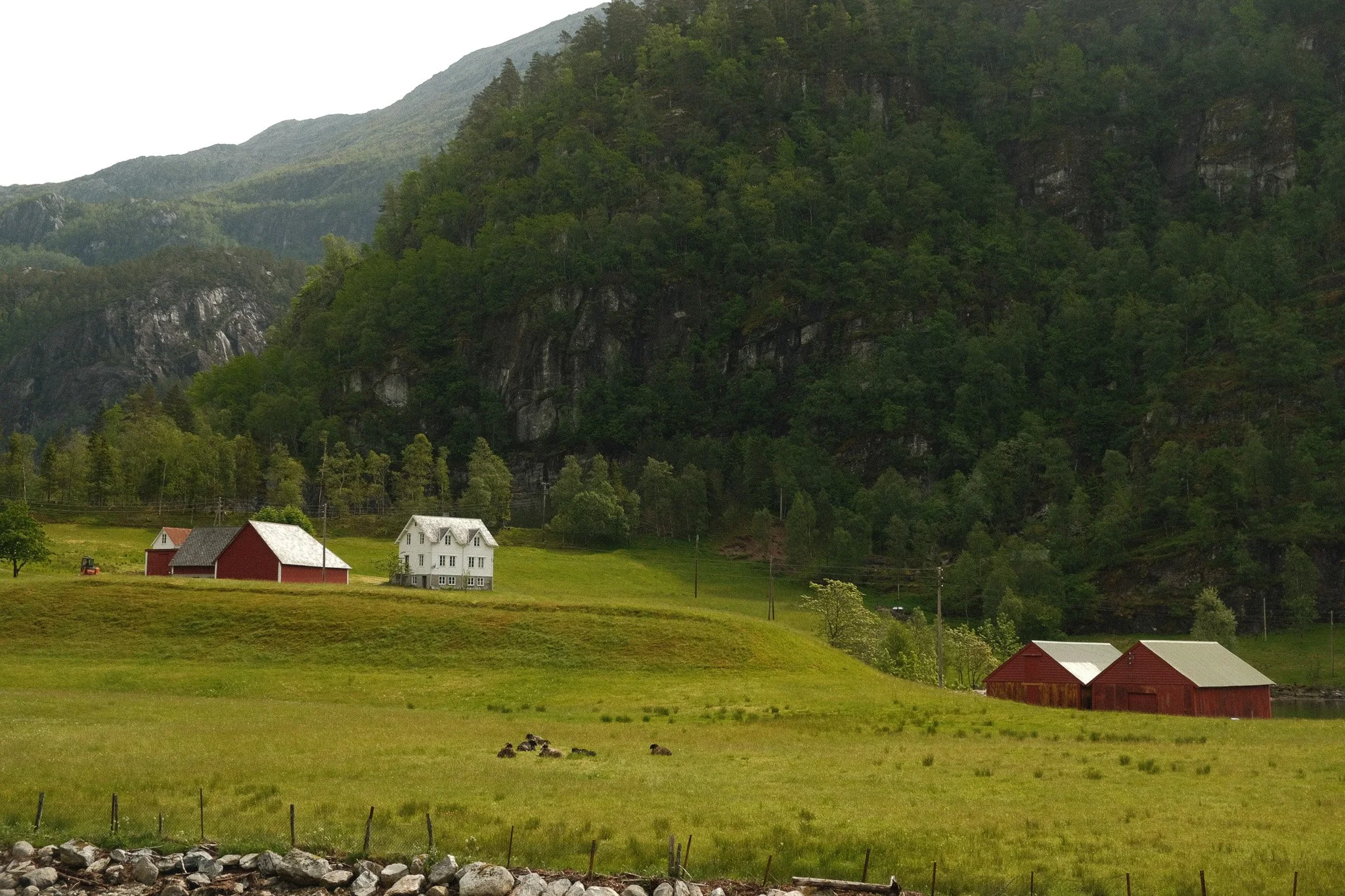 DSCF7504.jpg